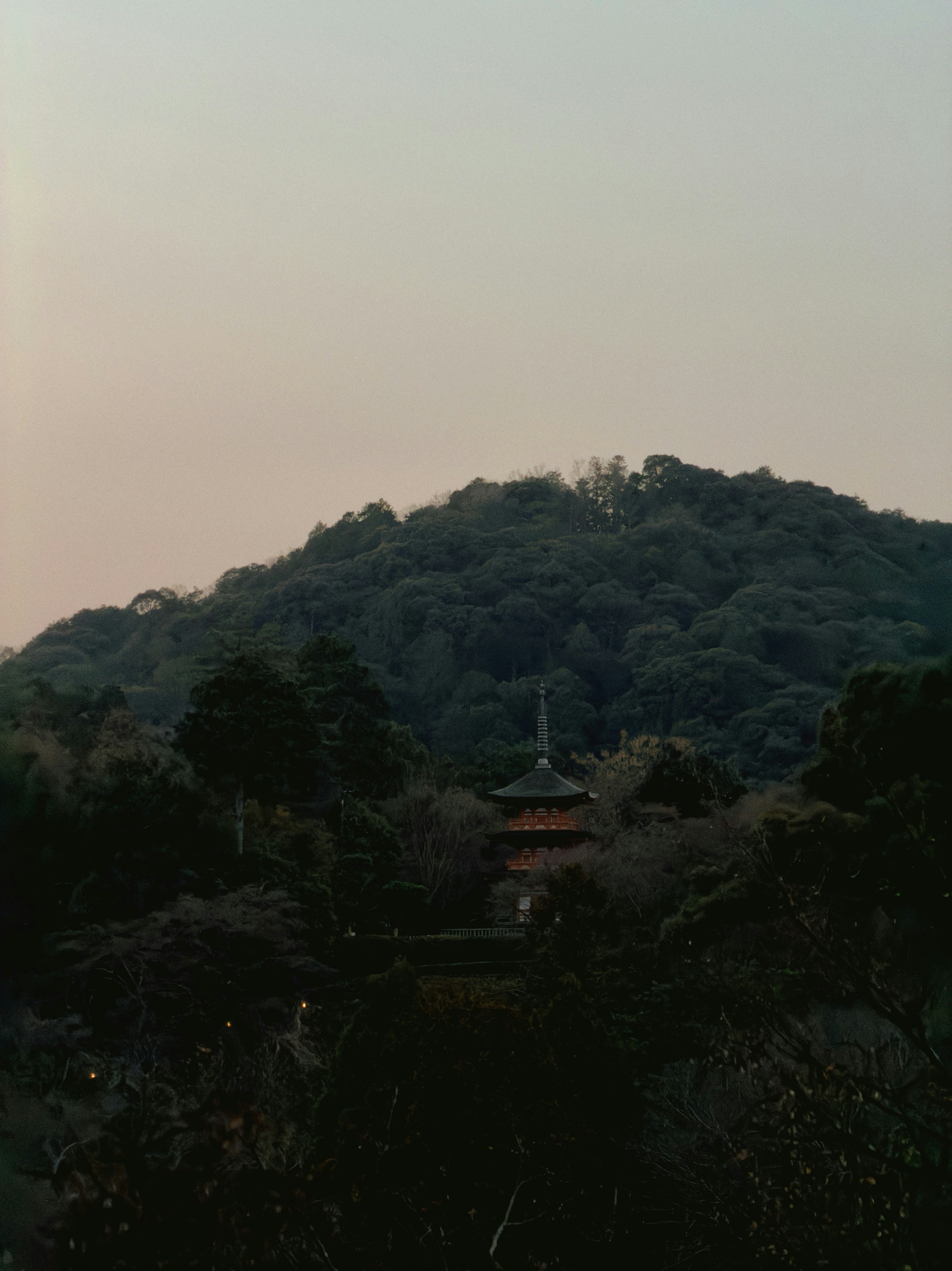 Pagoda nestled in a lush, green forest at dusk