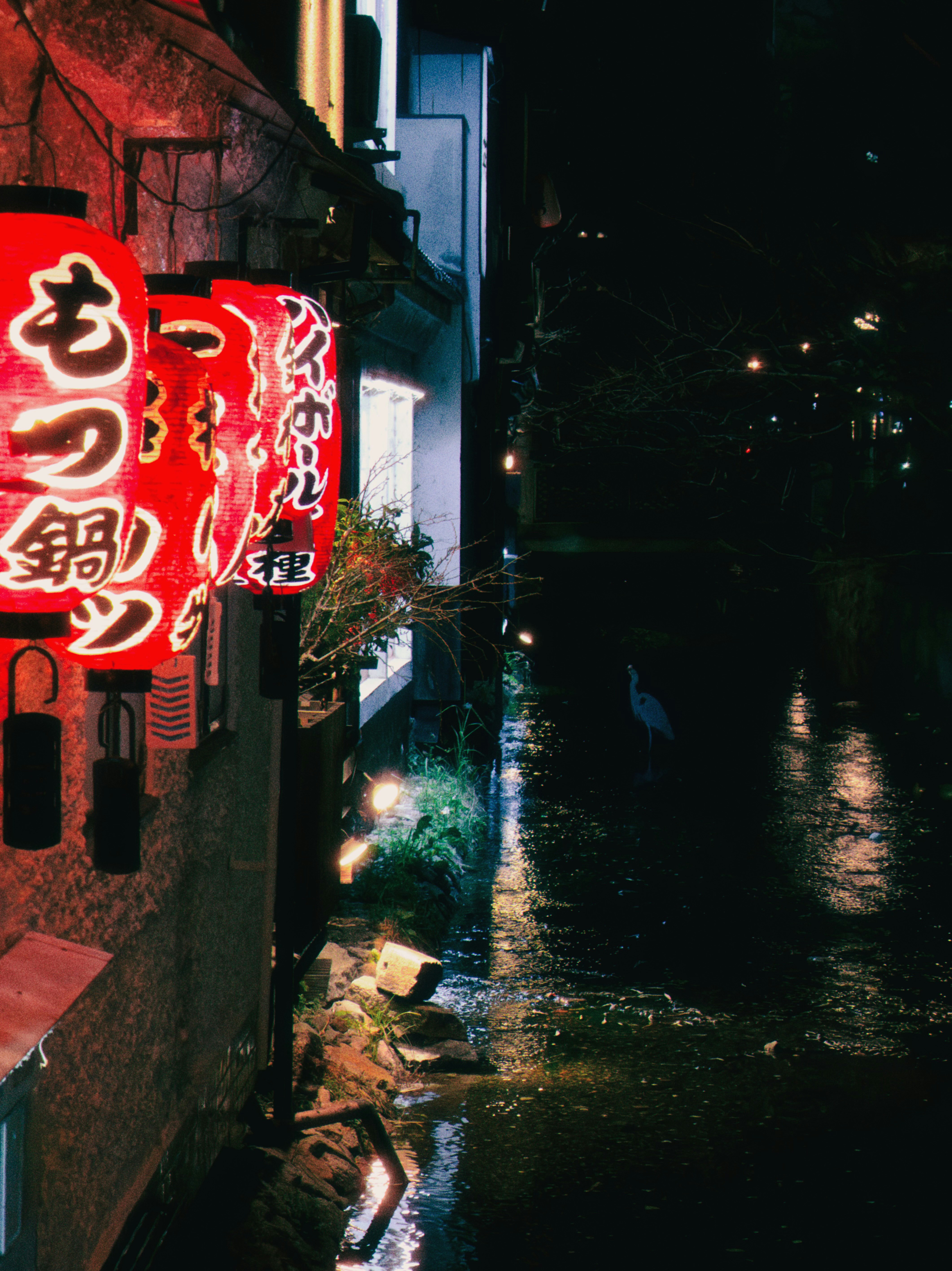Red lanterns illuminate a narrow street at night
