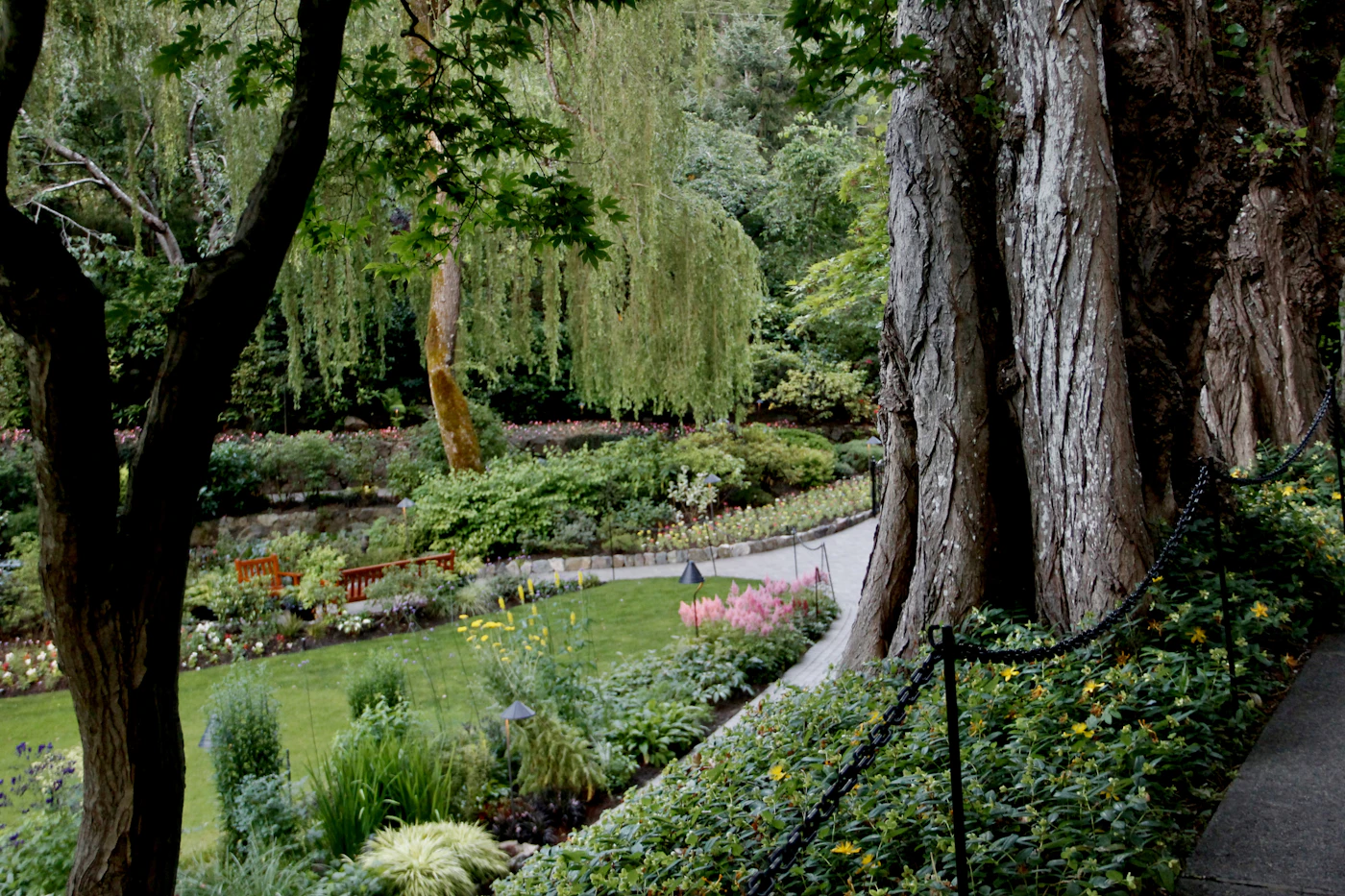 Clean garden path after landscape refresh