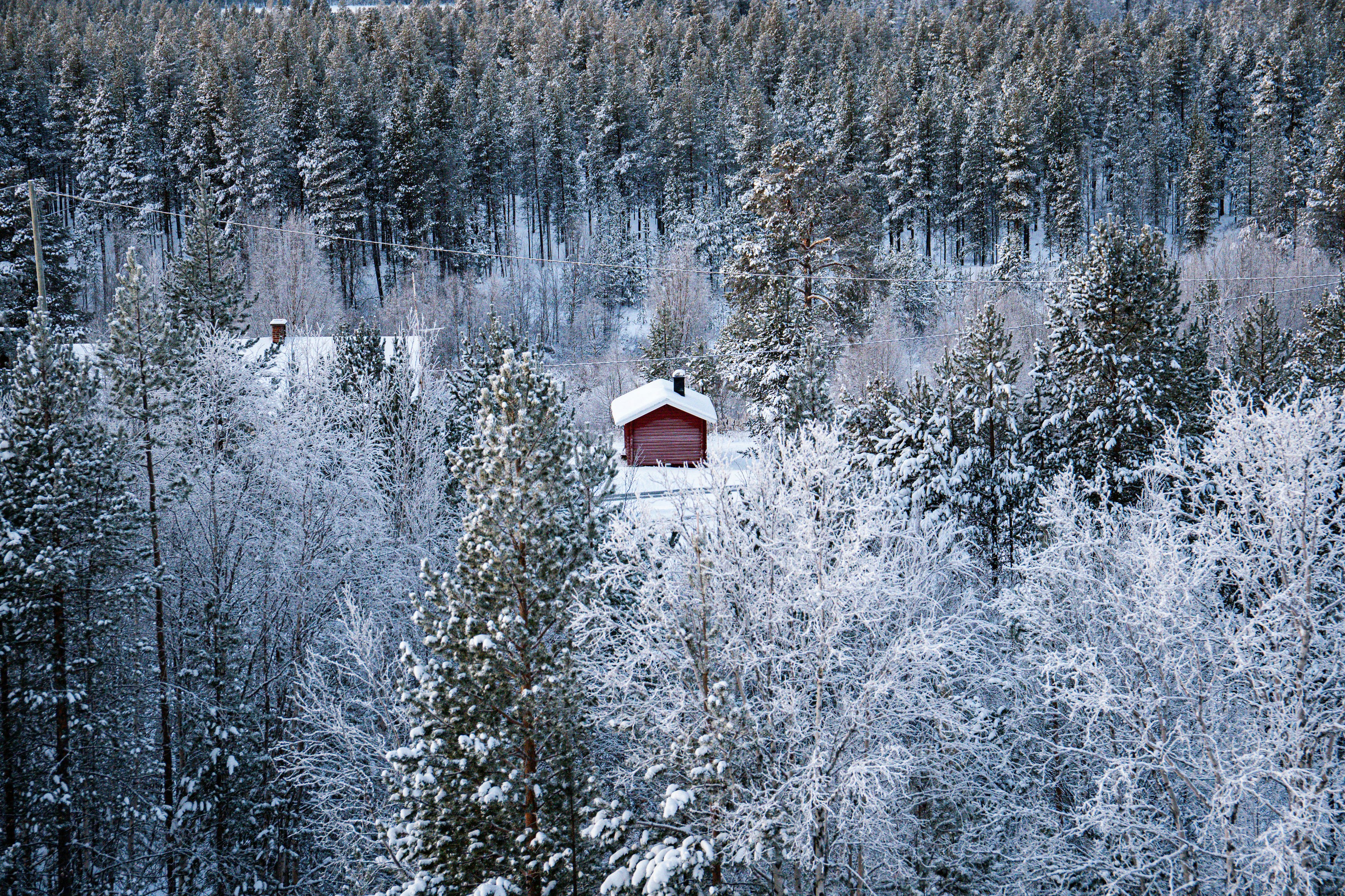 A small red cabin nestled in a snowy forest