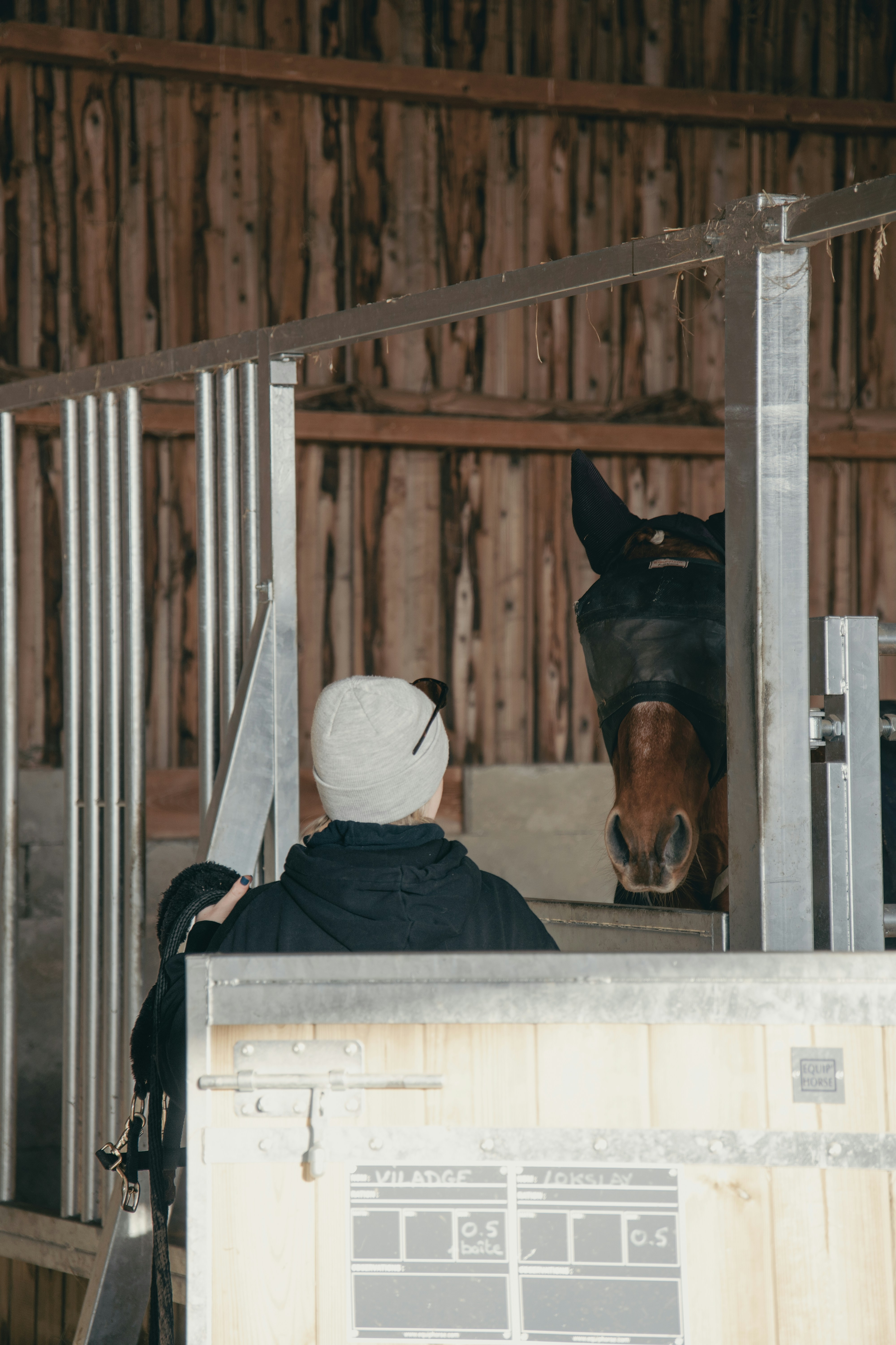 Person in stable with horse wearing fly mask