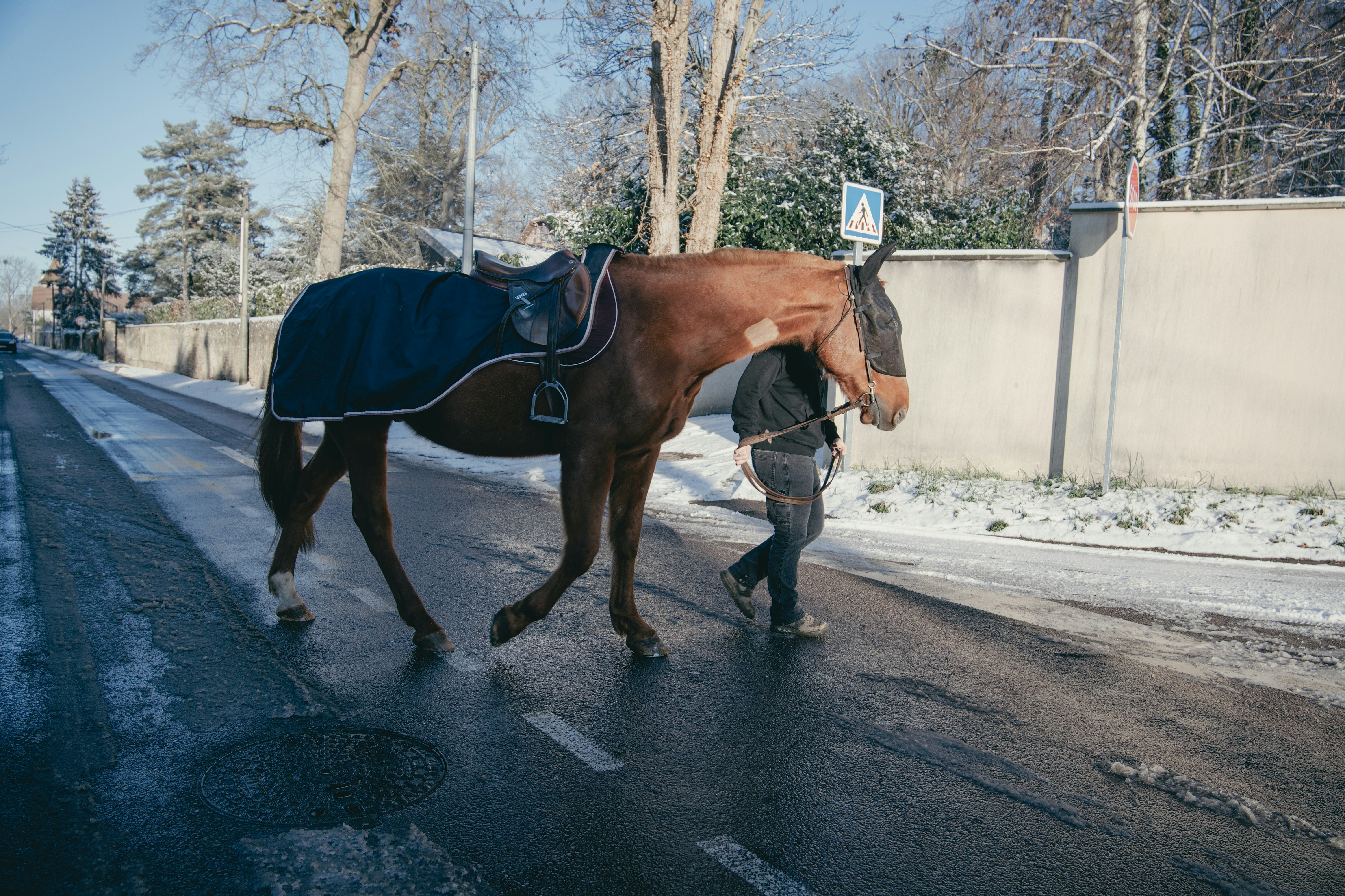A person walks a horse along a snowy street.