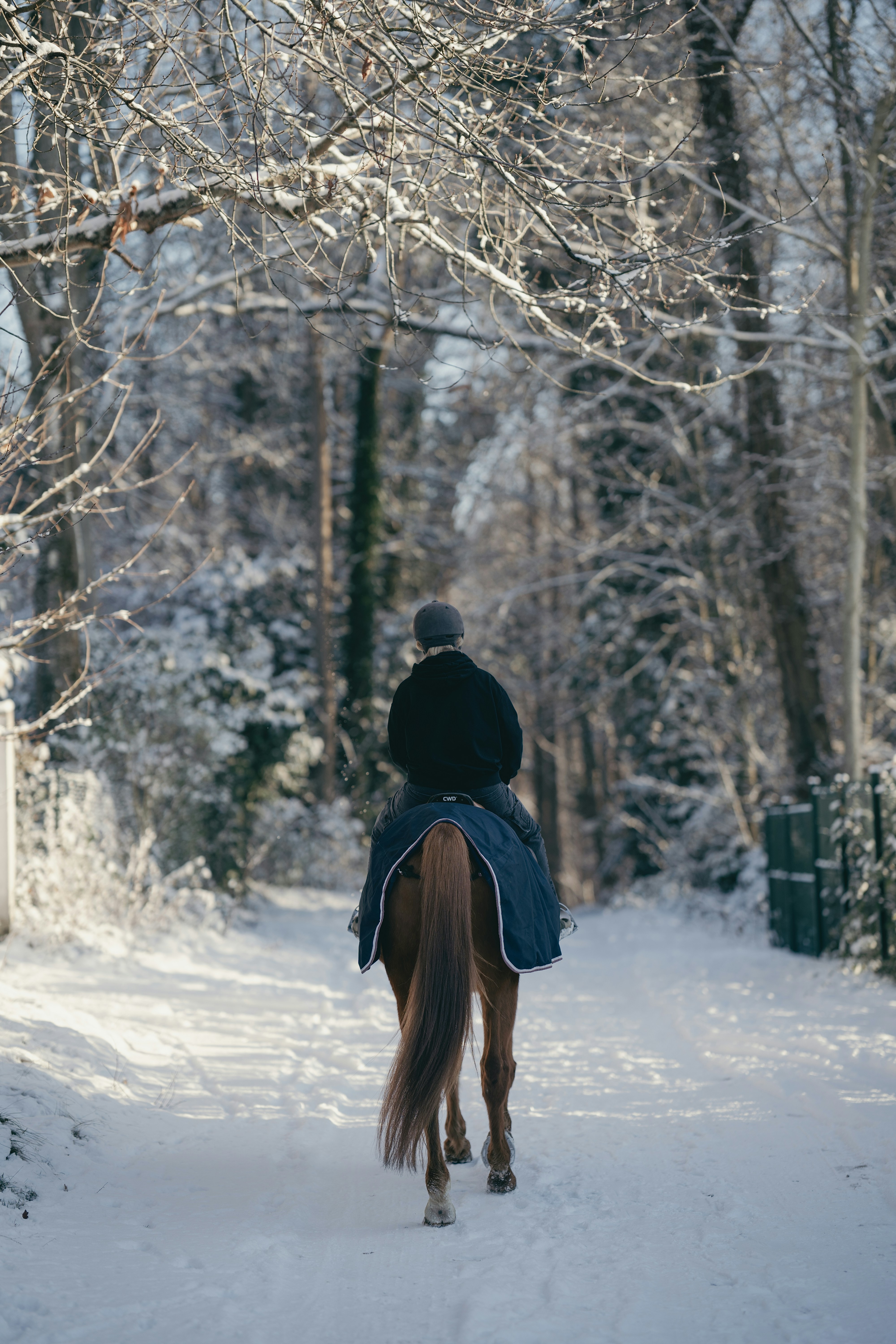 Person rides a horse down a snowy path.