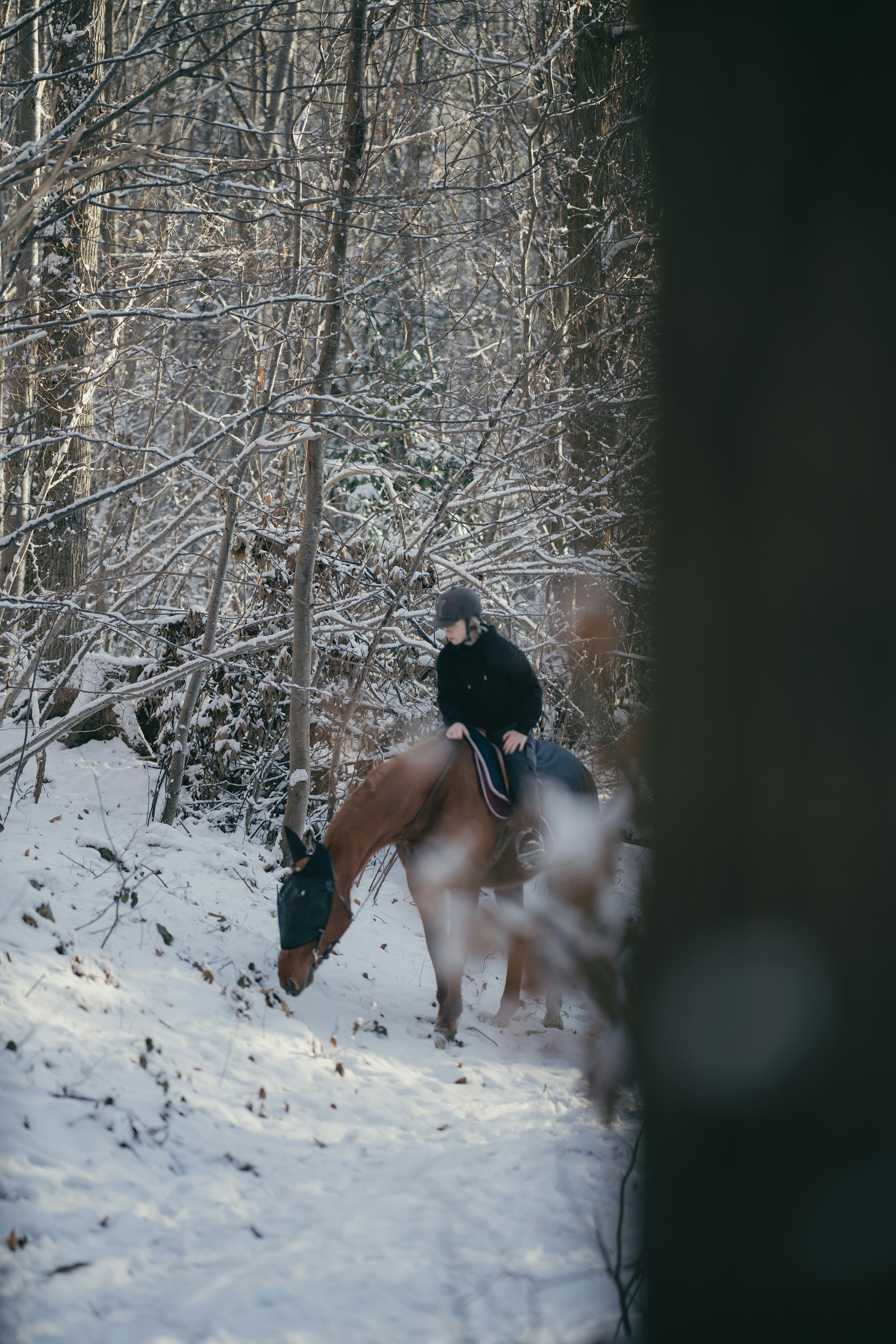 Person riding a horse through a snowy forest
