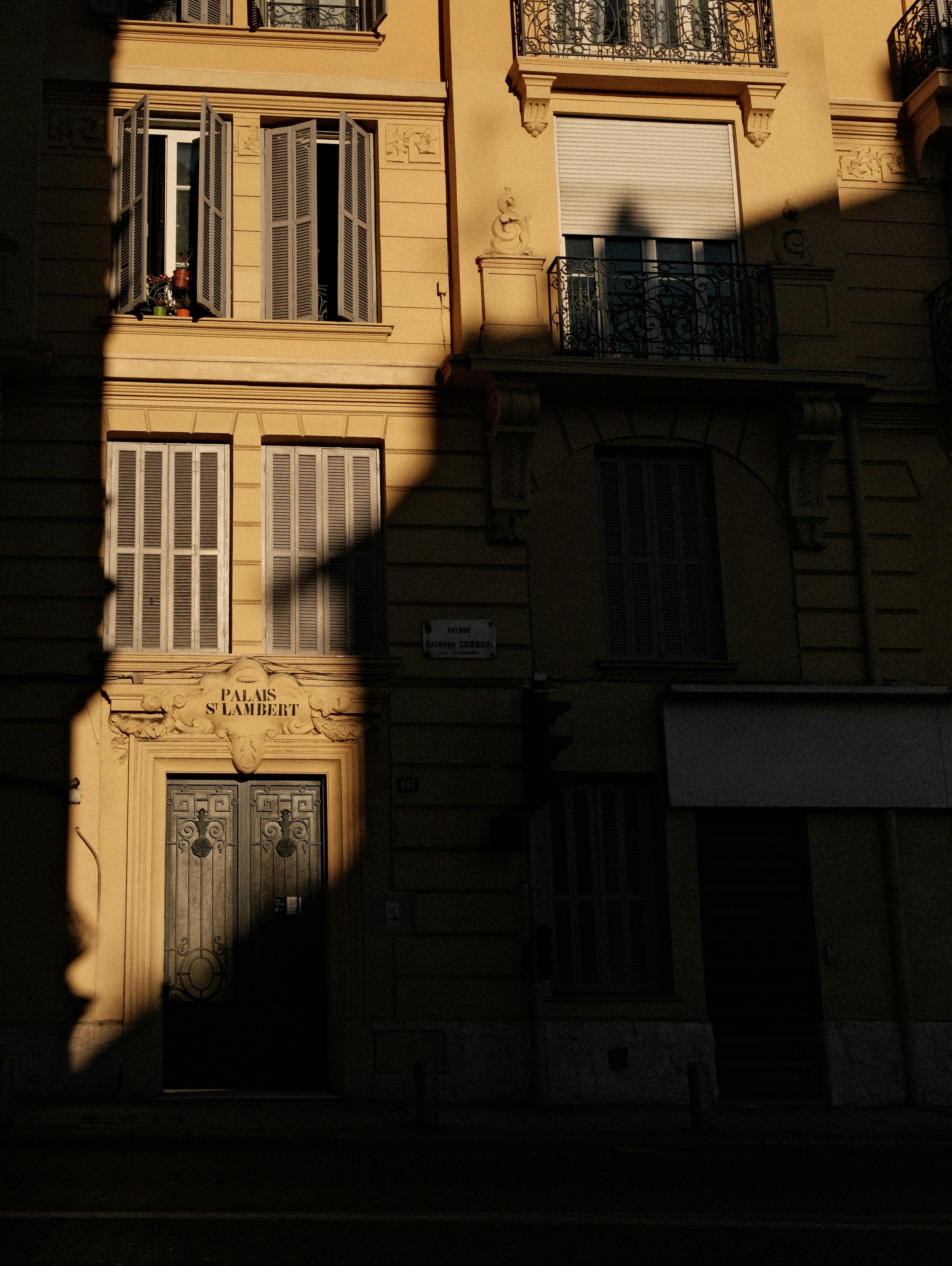 Person looking out a window on a sunny day