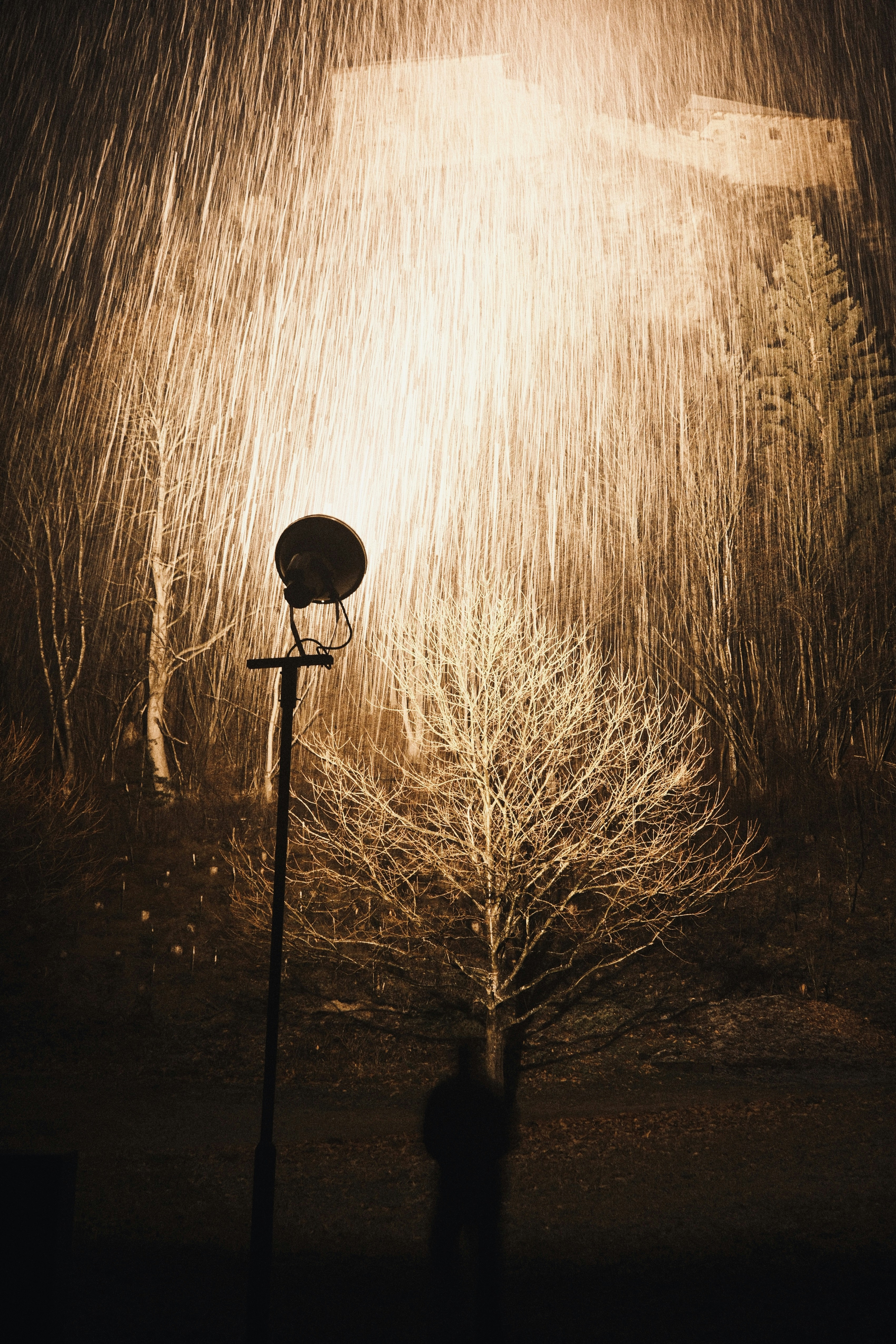 A lone figure stands under a streetlamp in heavy rain.