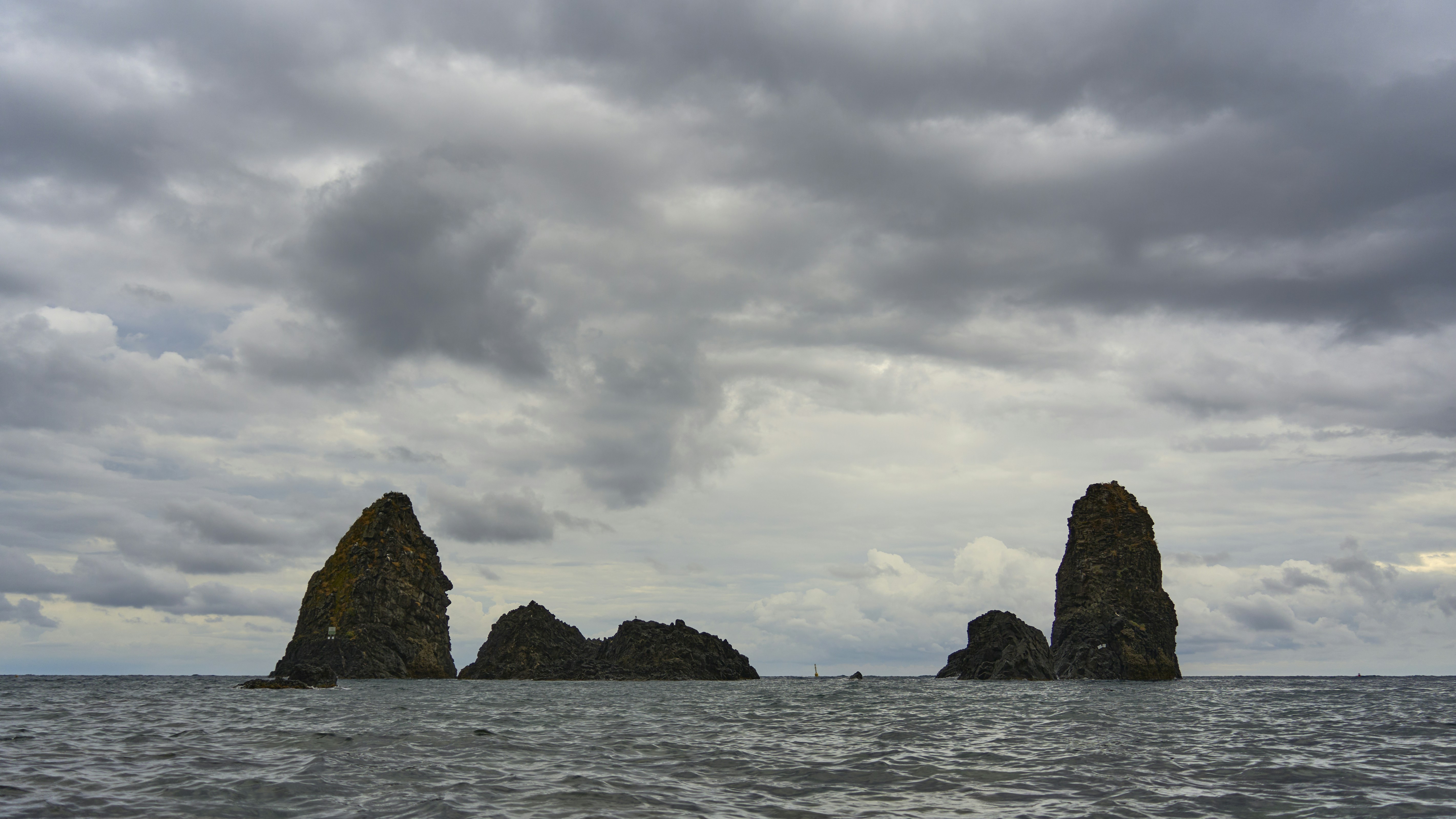 Photo by wolfgang_hasselmann