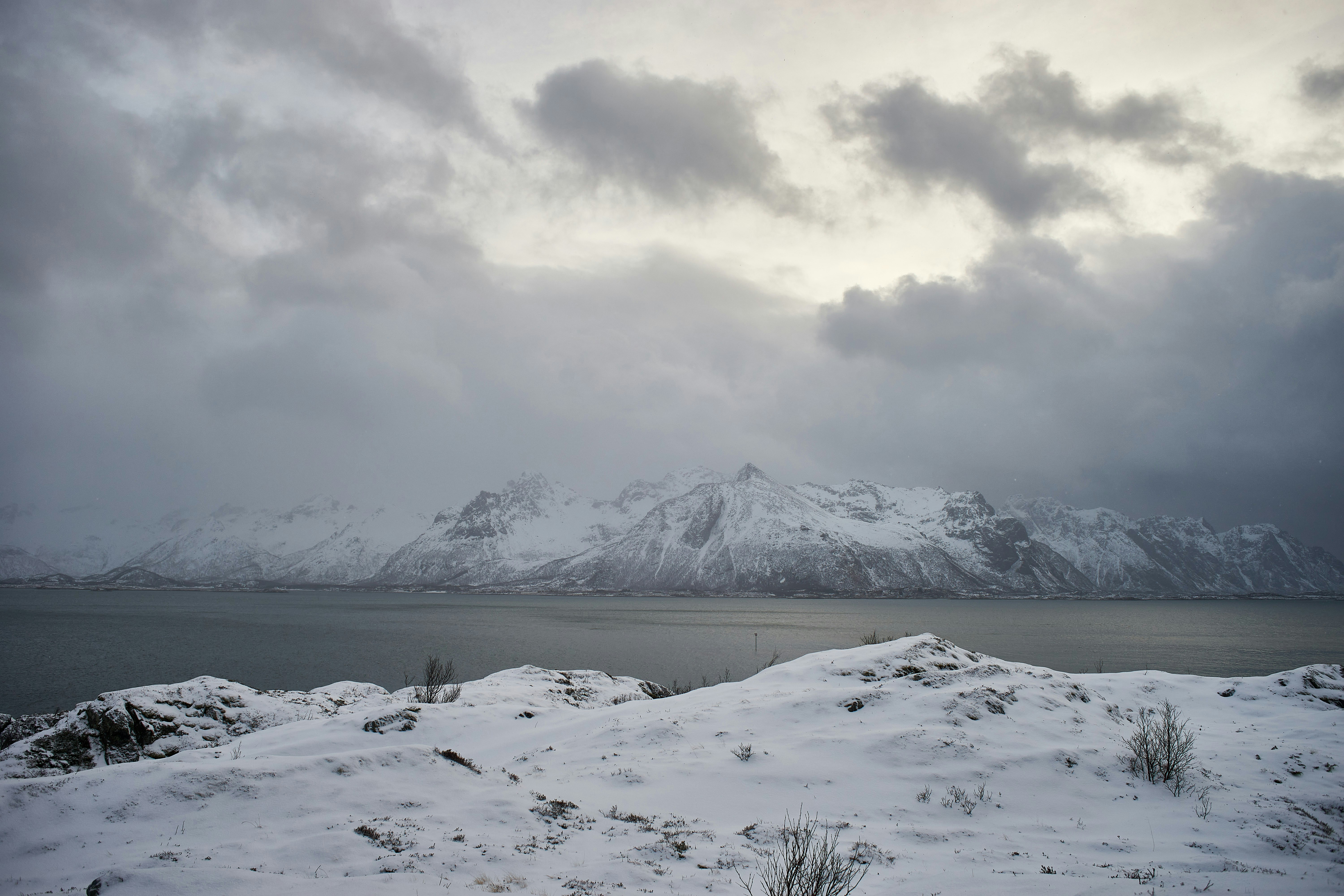 حمل و نقل بین‌المللی