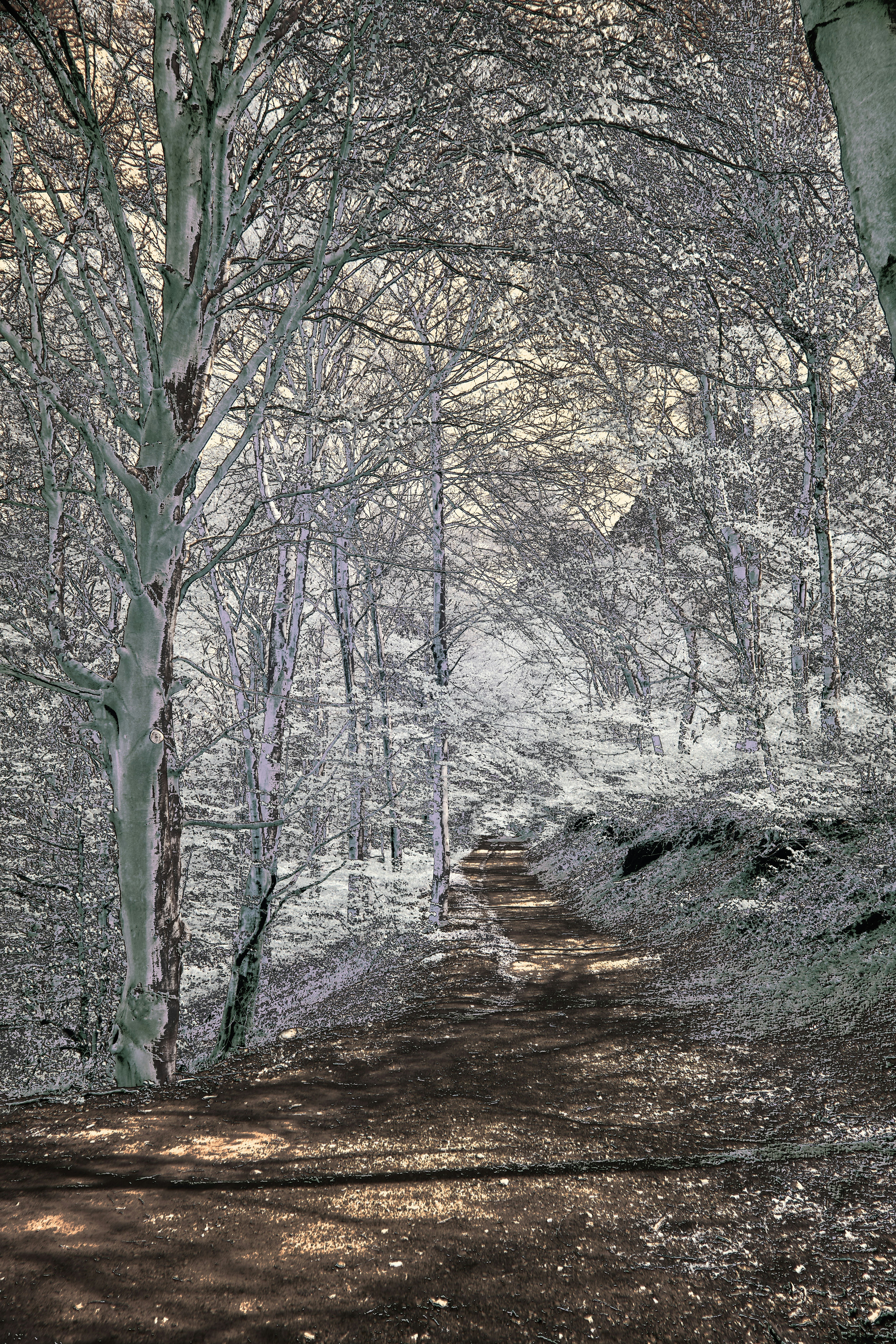 Photo by wolfgang_hasselmann