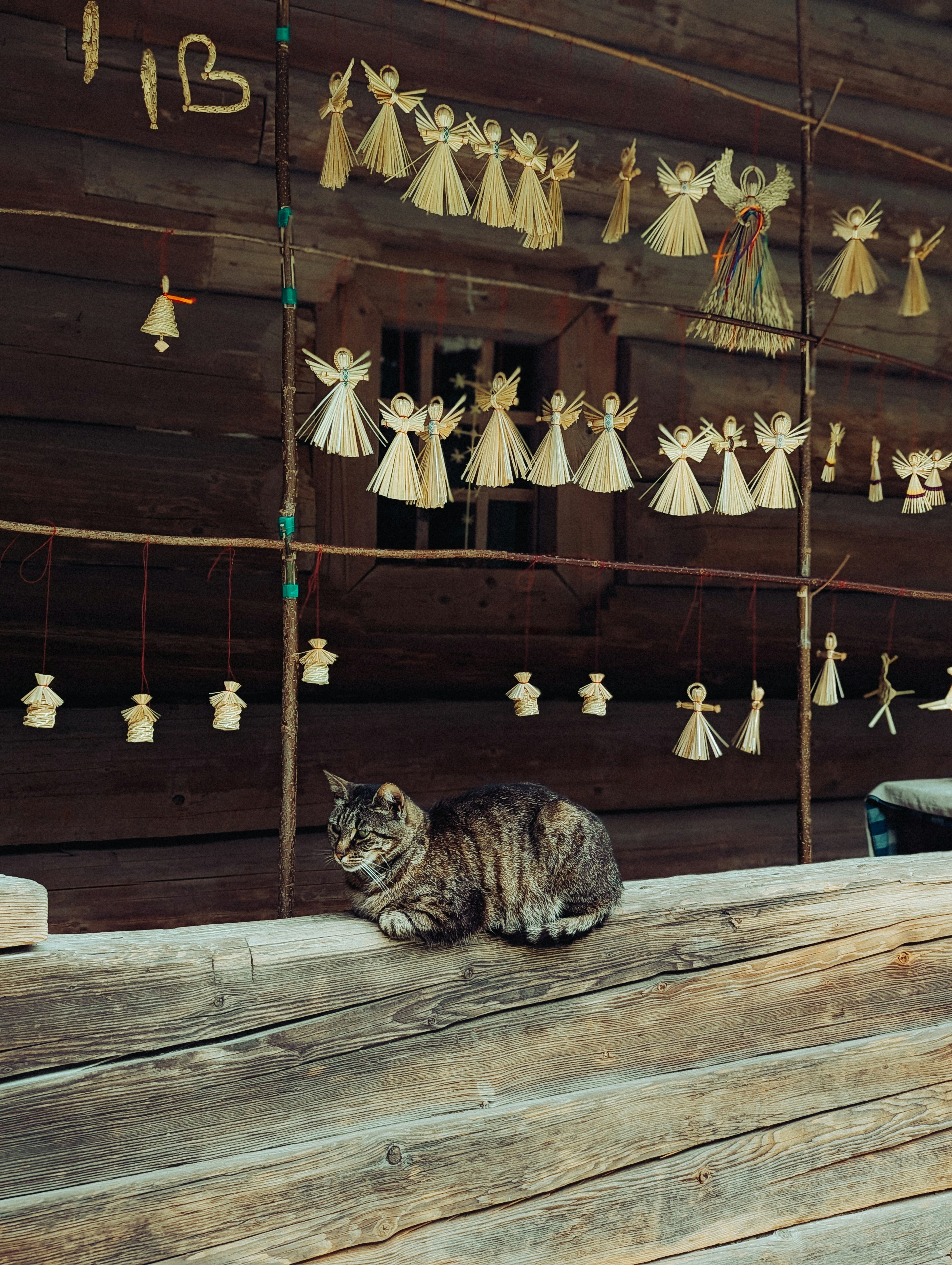 A tabby cat rests on a wooden railing.