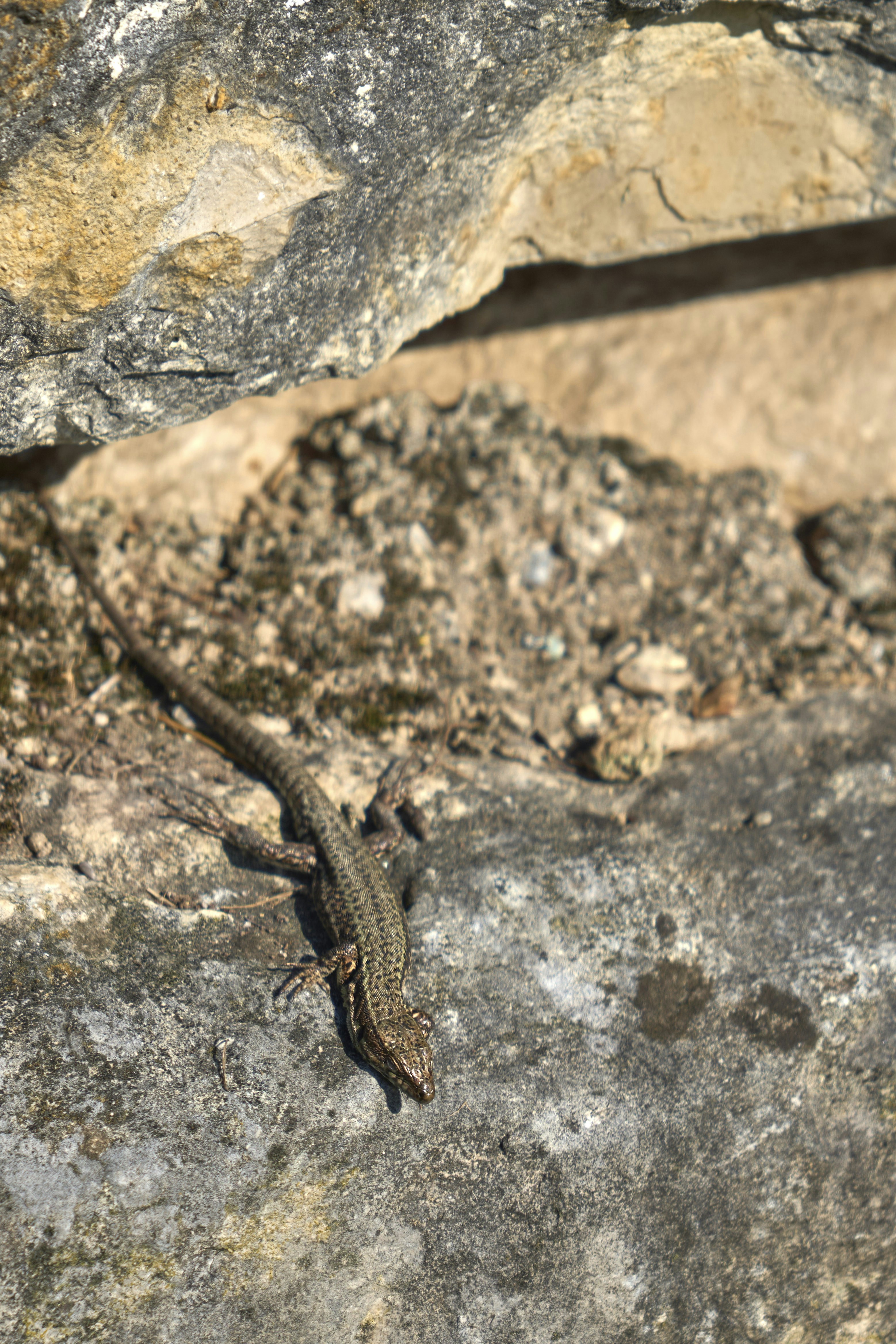 Photo by wolfgang_hasselmann