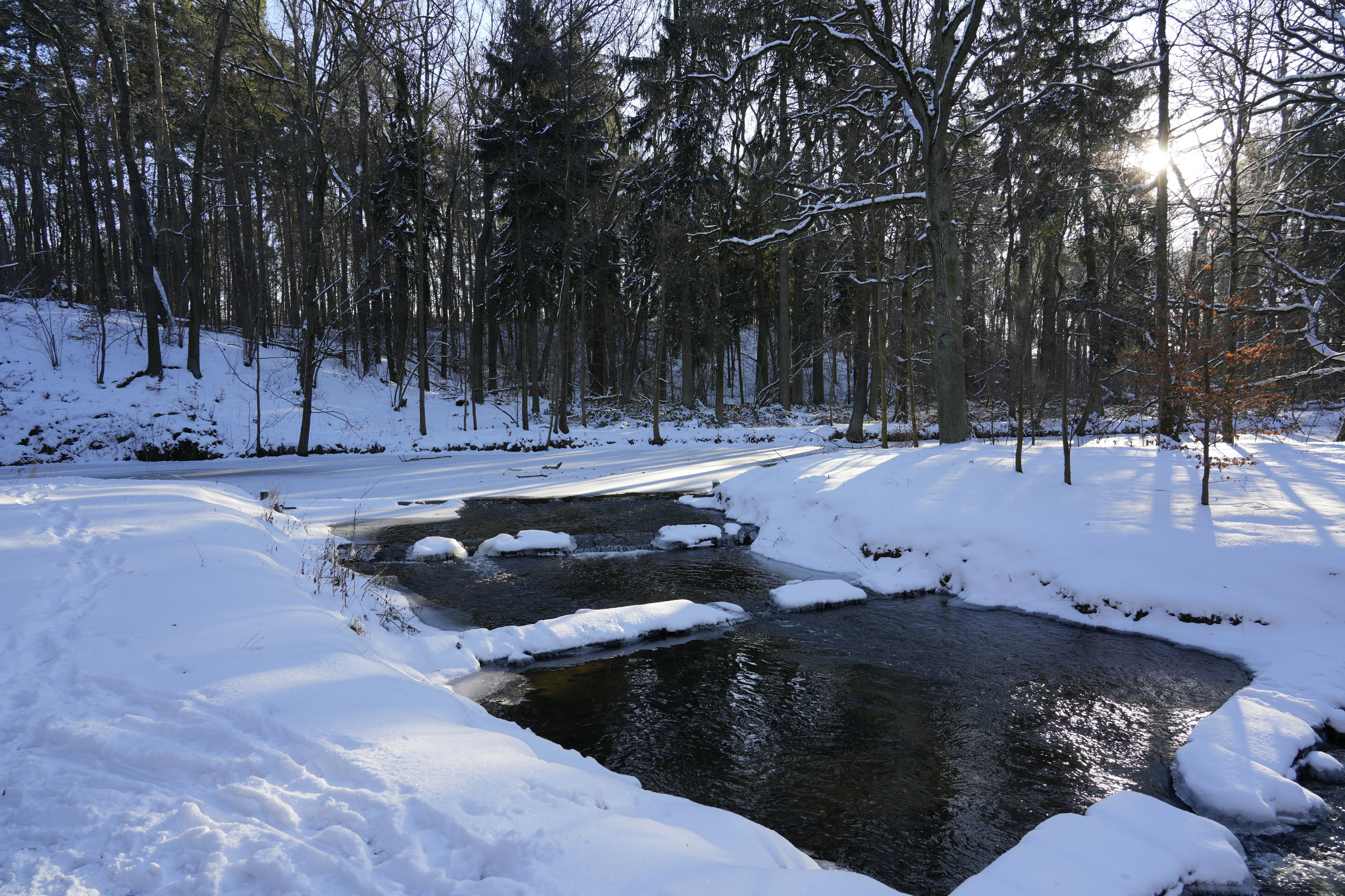 Photo by antjewinkler