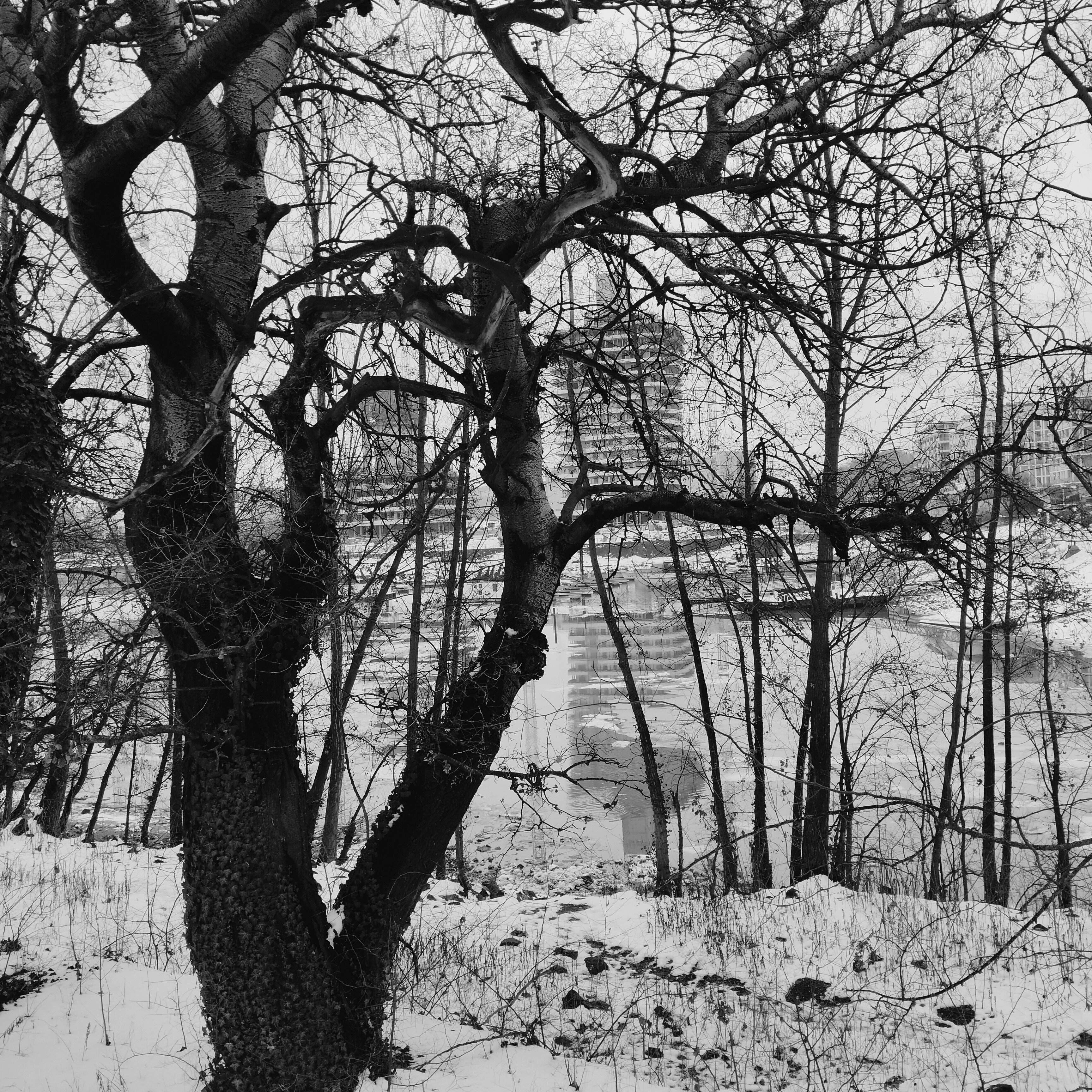 Photo by diamond0624