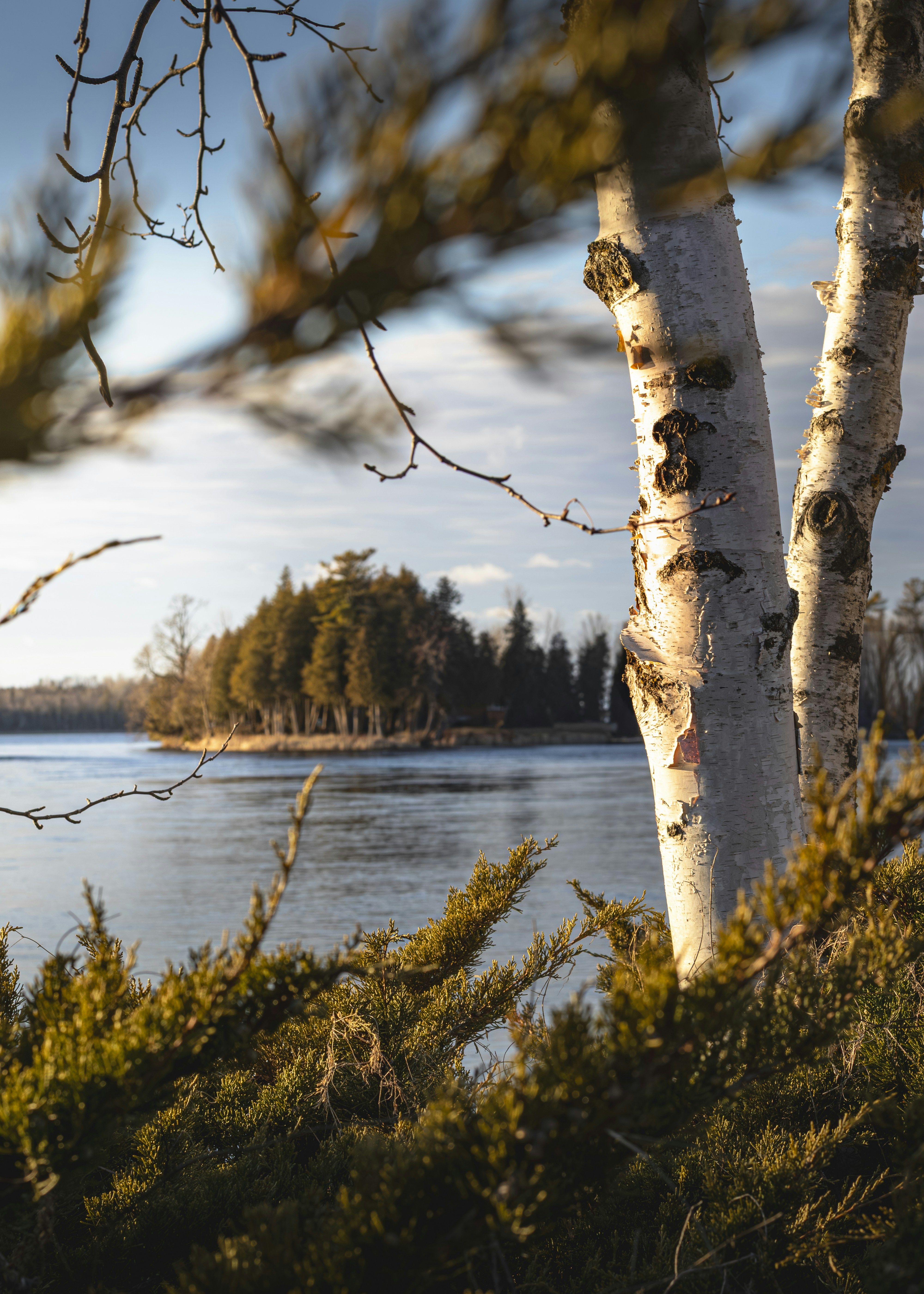 Photo by glenniceburns