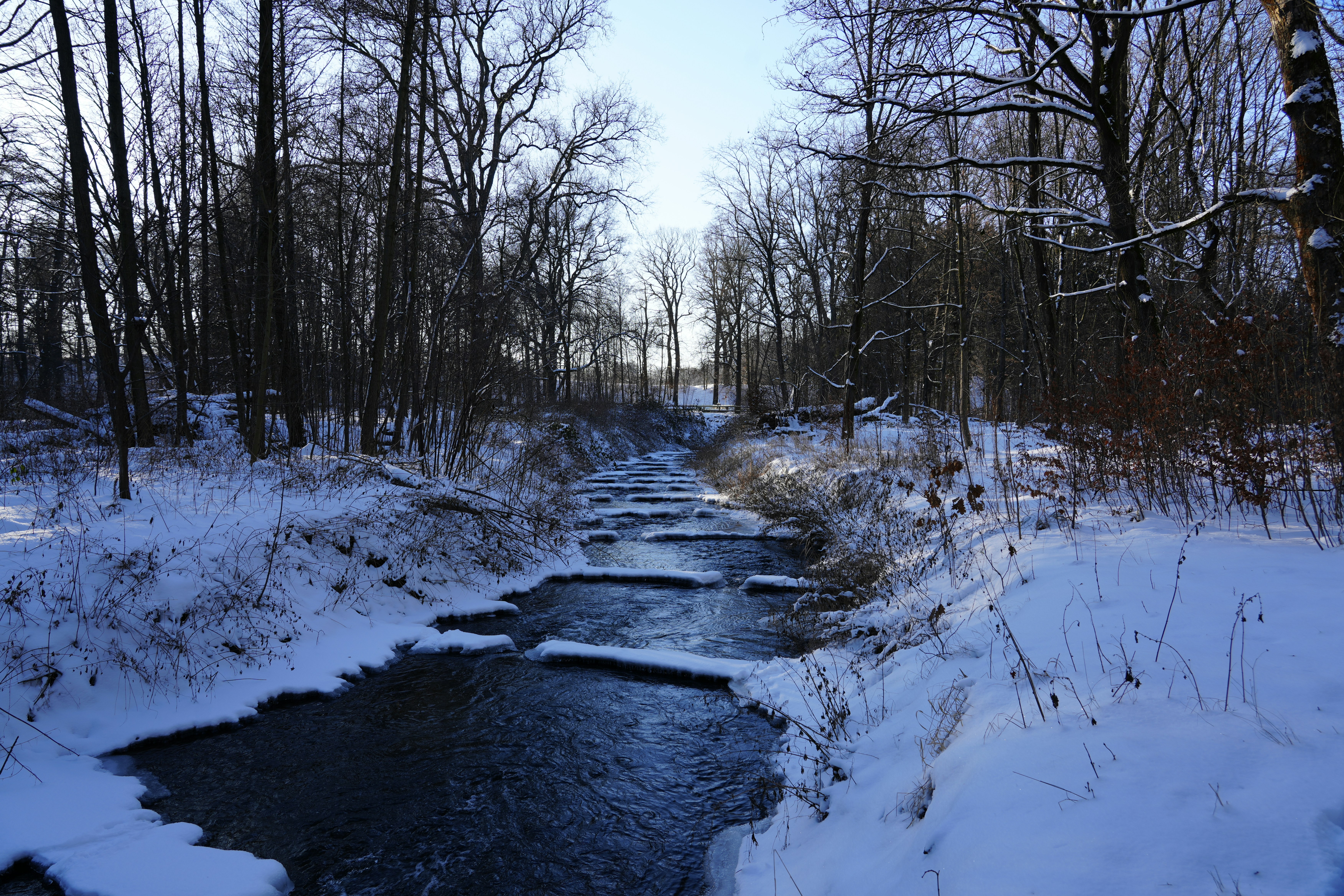 Photo by antjewinkler