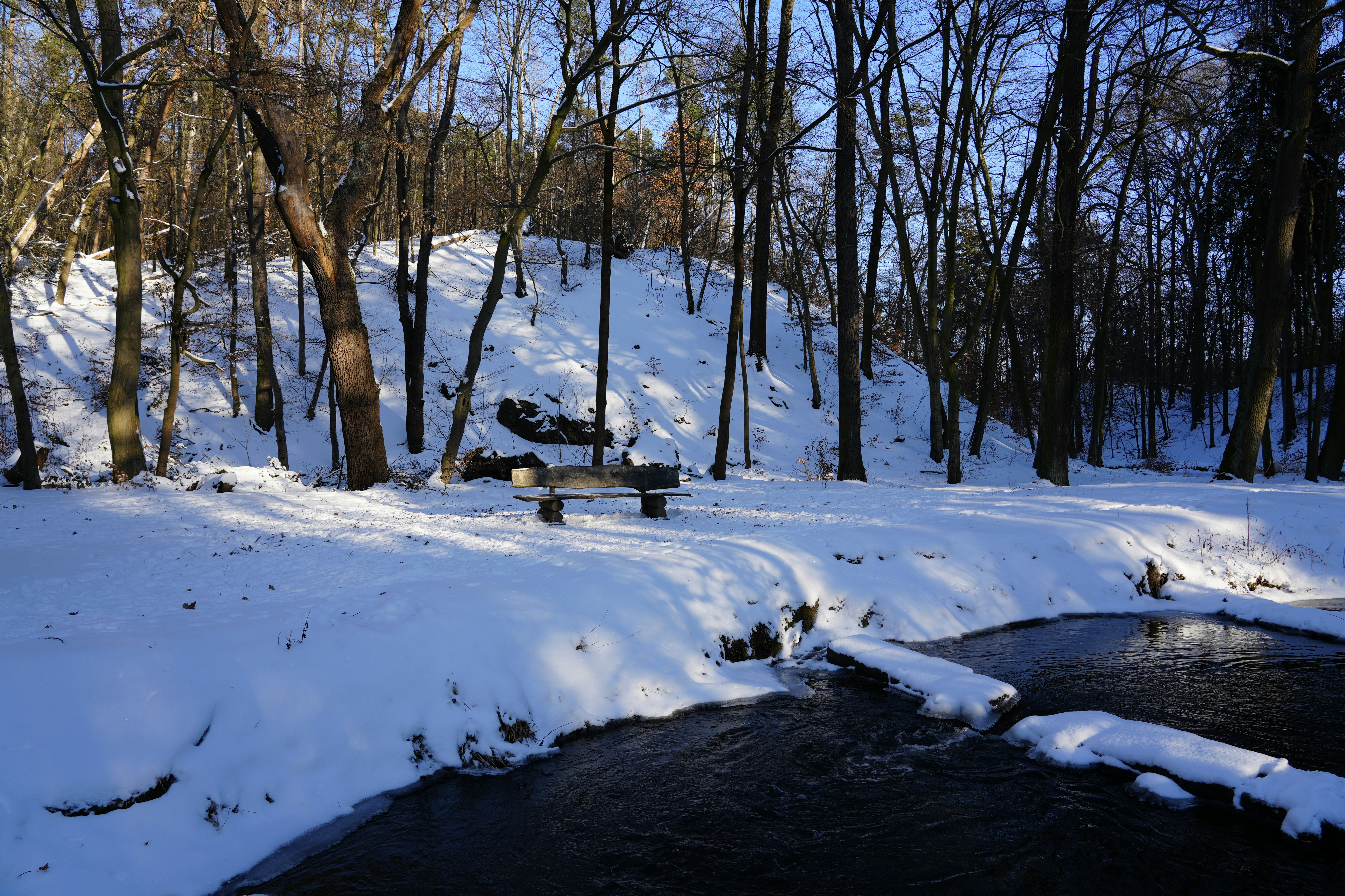 Photo by antjewinkler