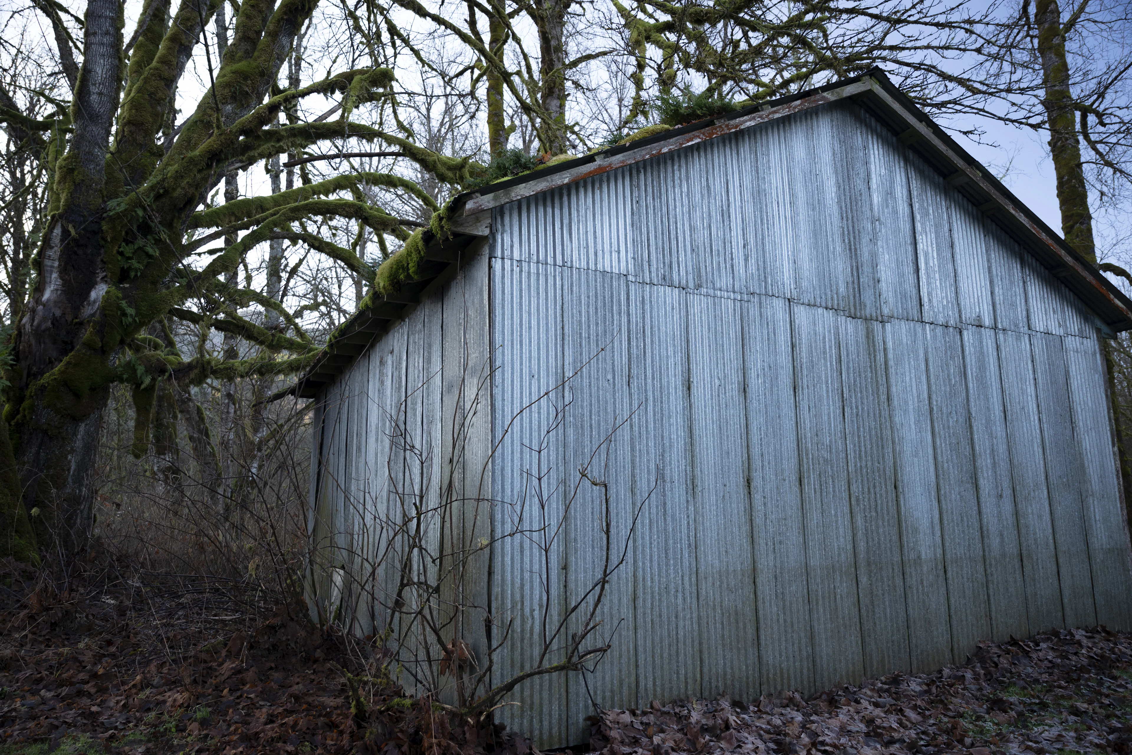 Metal Sheds