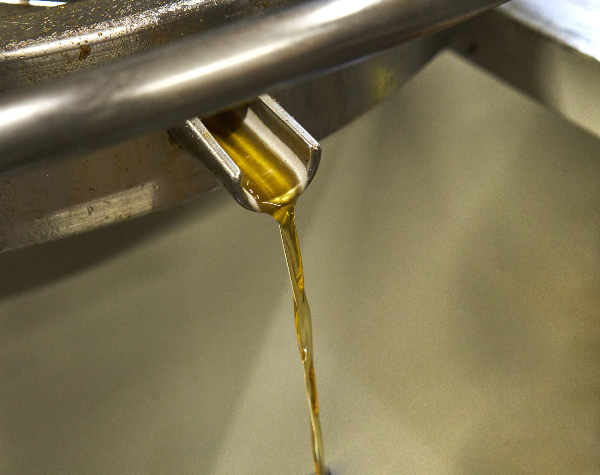 Golden cold-pressed oil running from a stainless steel press spout into a collection vessel