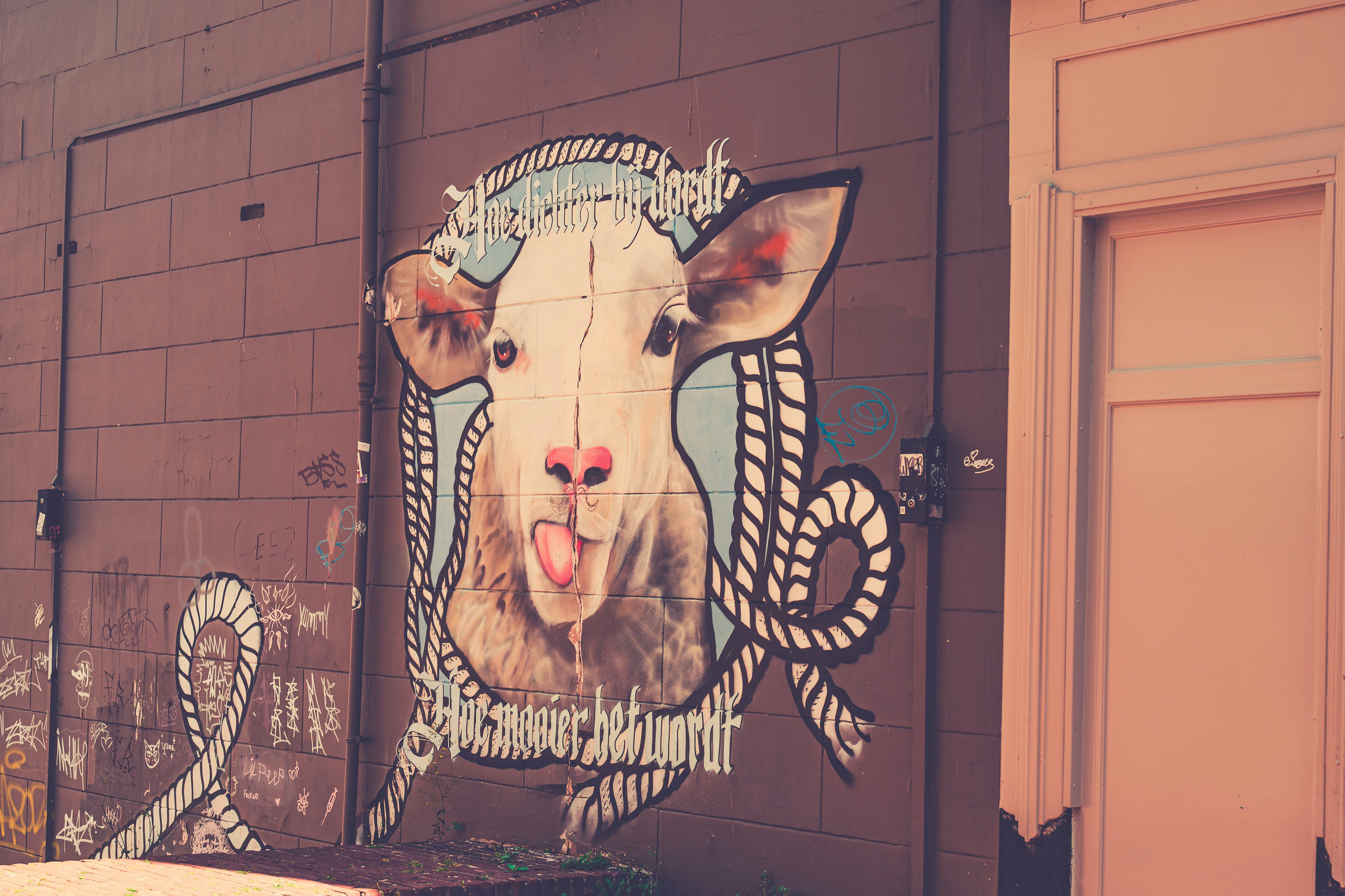 Afbeelding van Dordrecht