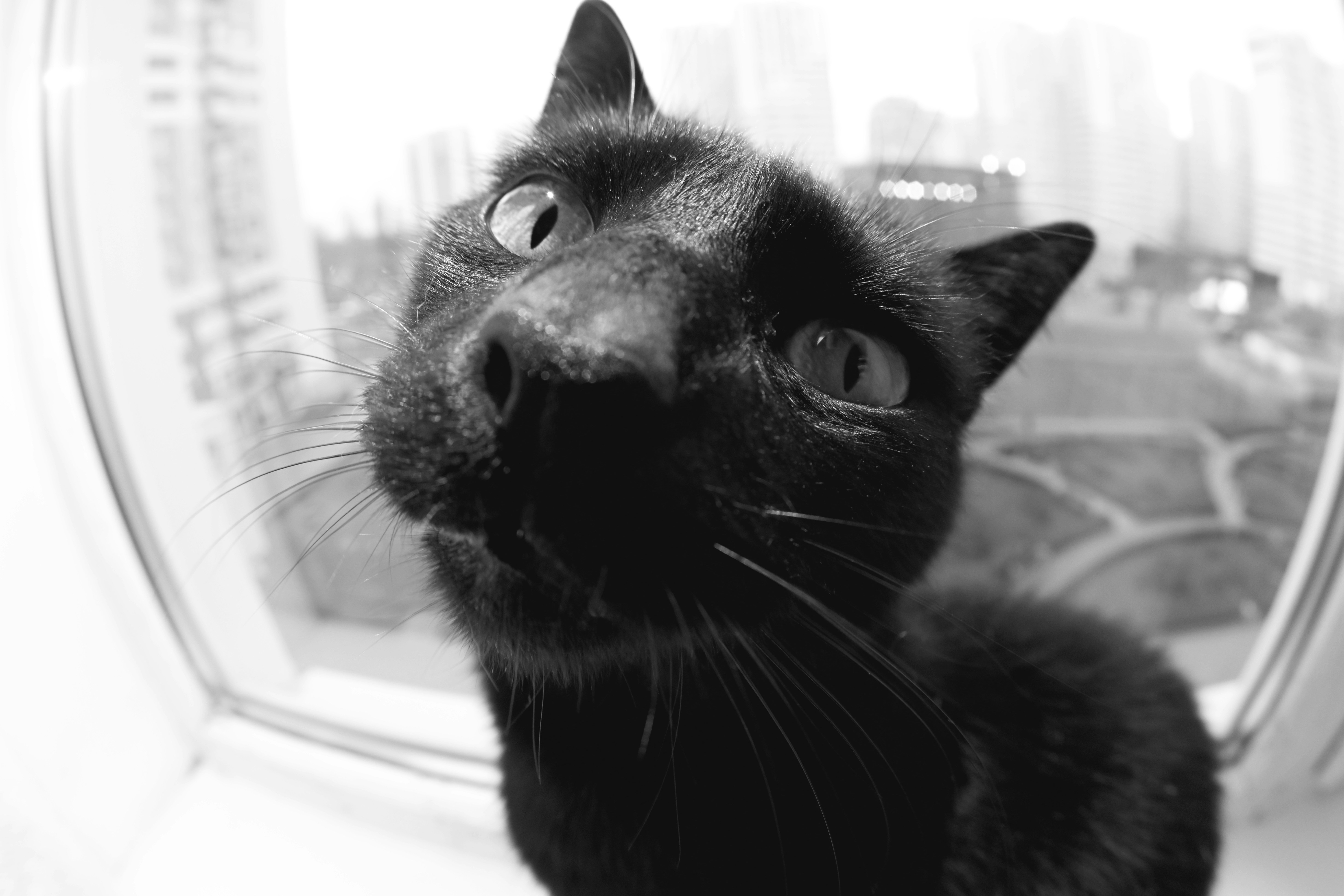 Photo by lvovandrewph