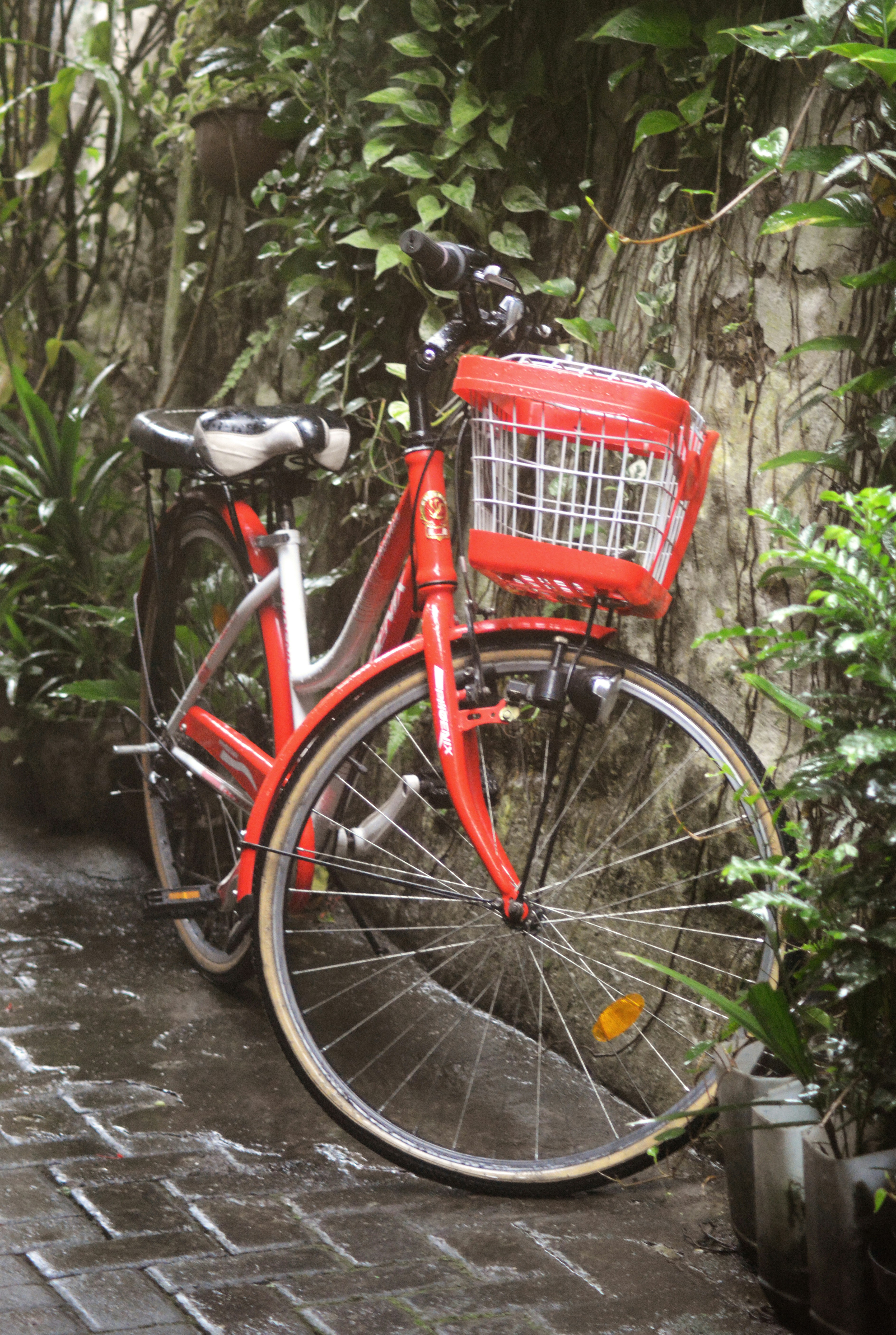 A red bicycle with a basket parked outdoors.