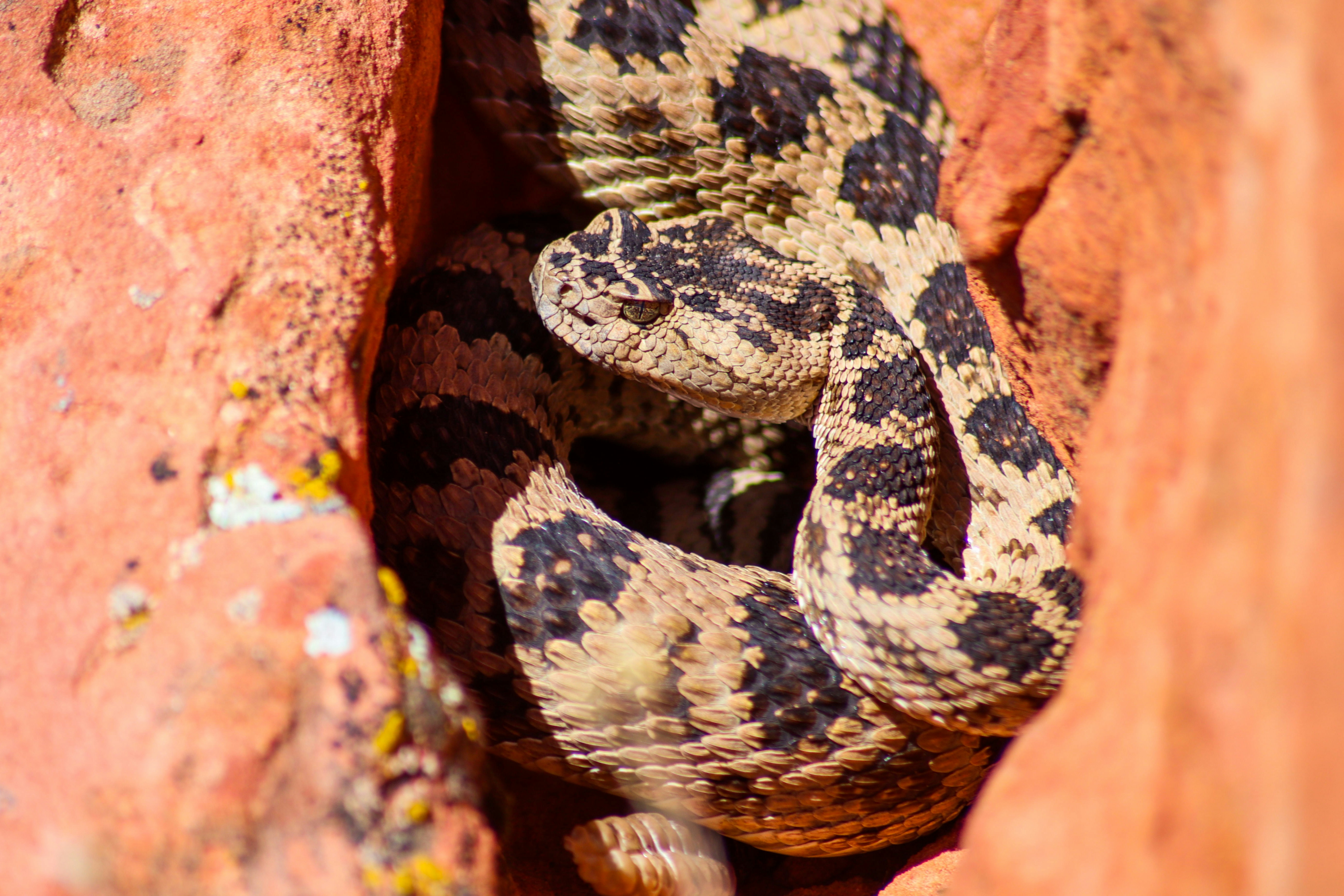 Photo by joshuabehunin