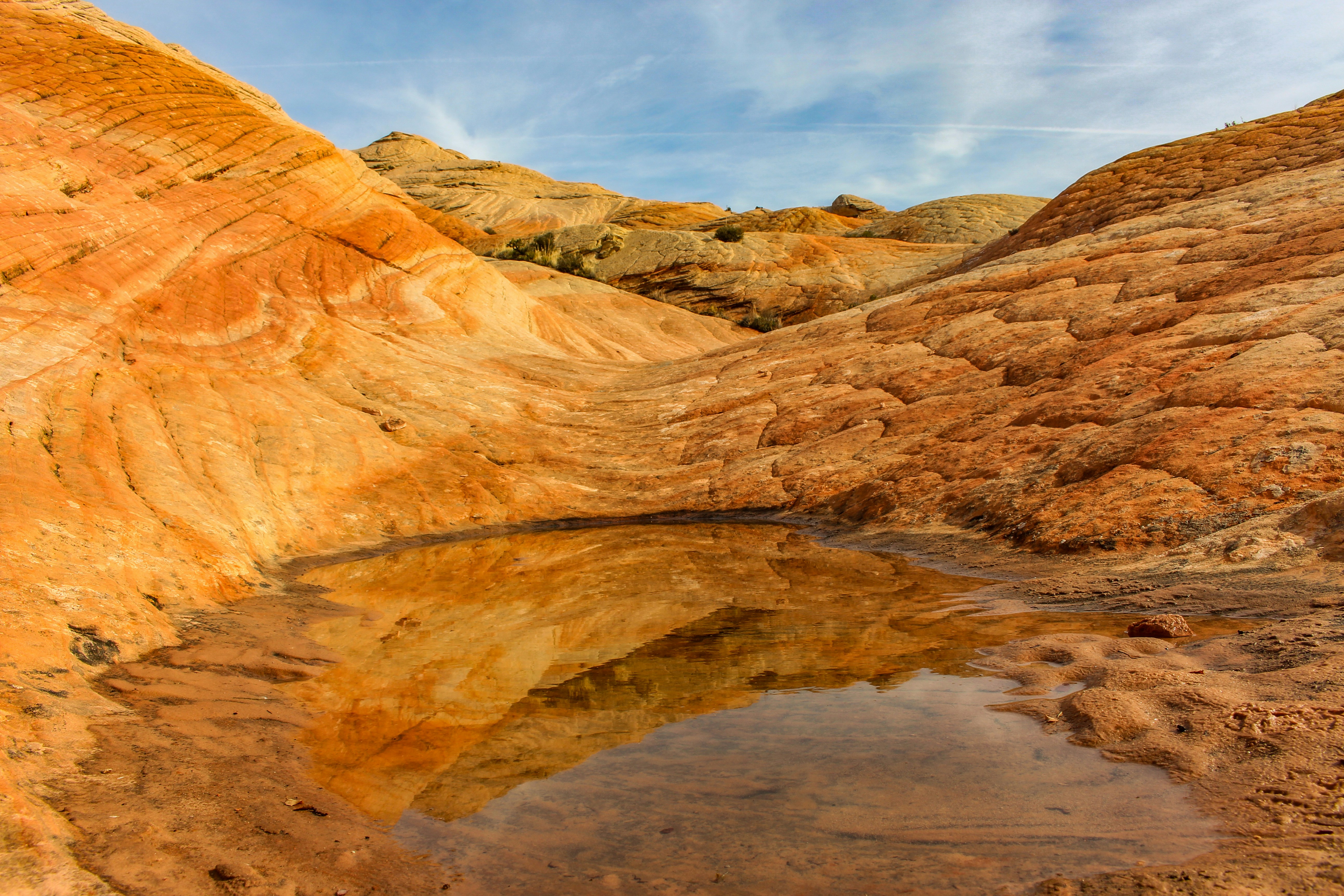 Photo by joshuabehunin