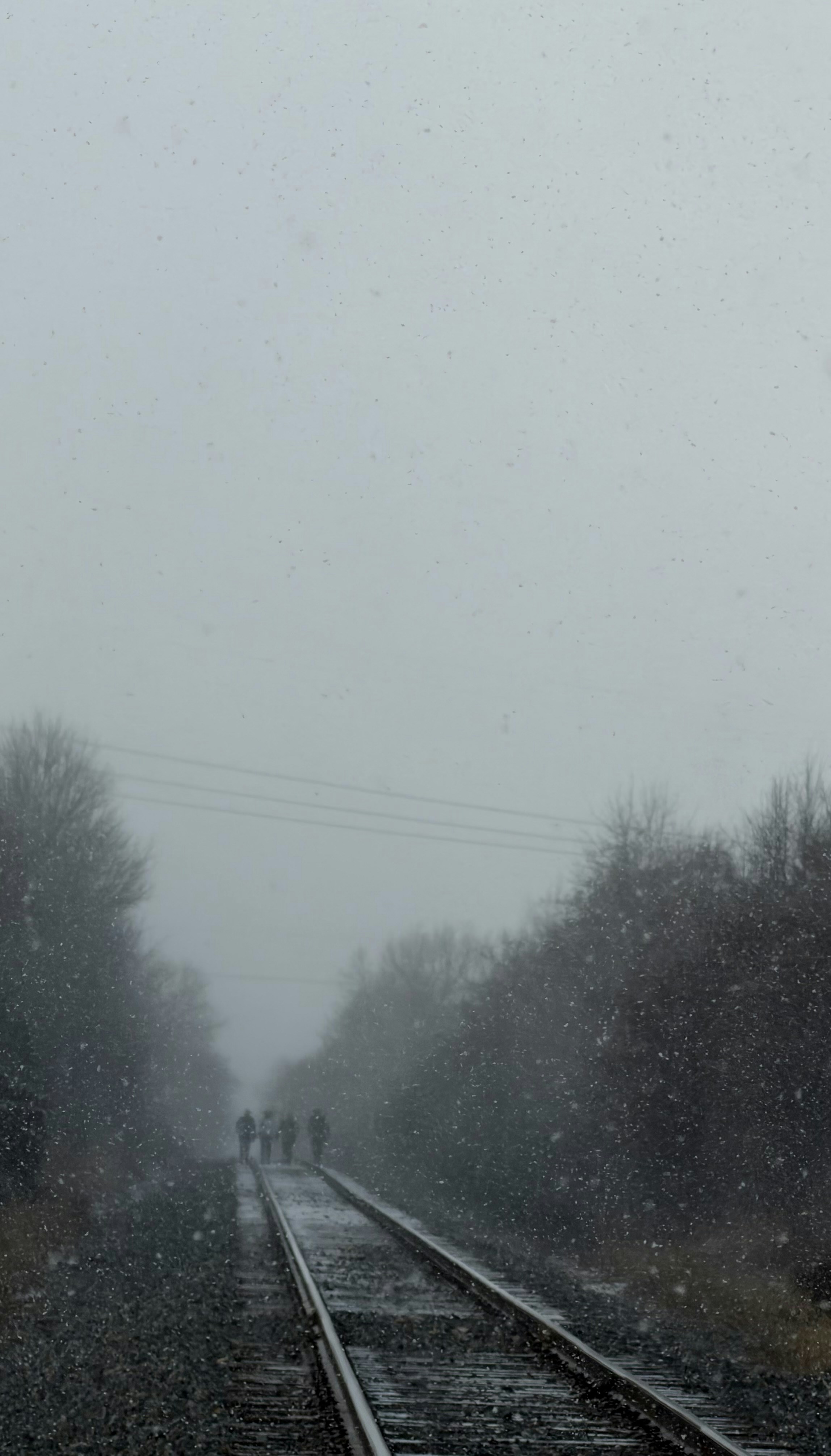 Un groupe marche sur les rails du train sous une tempête de neige.