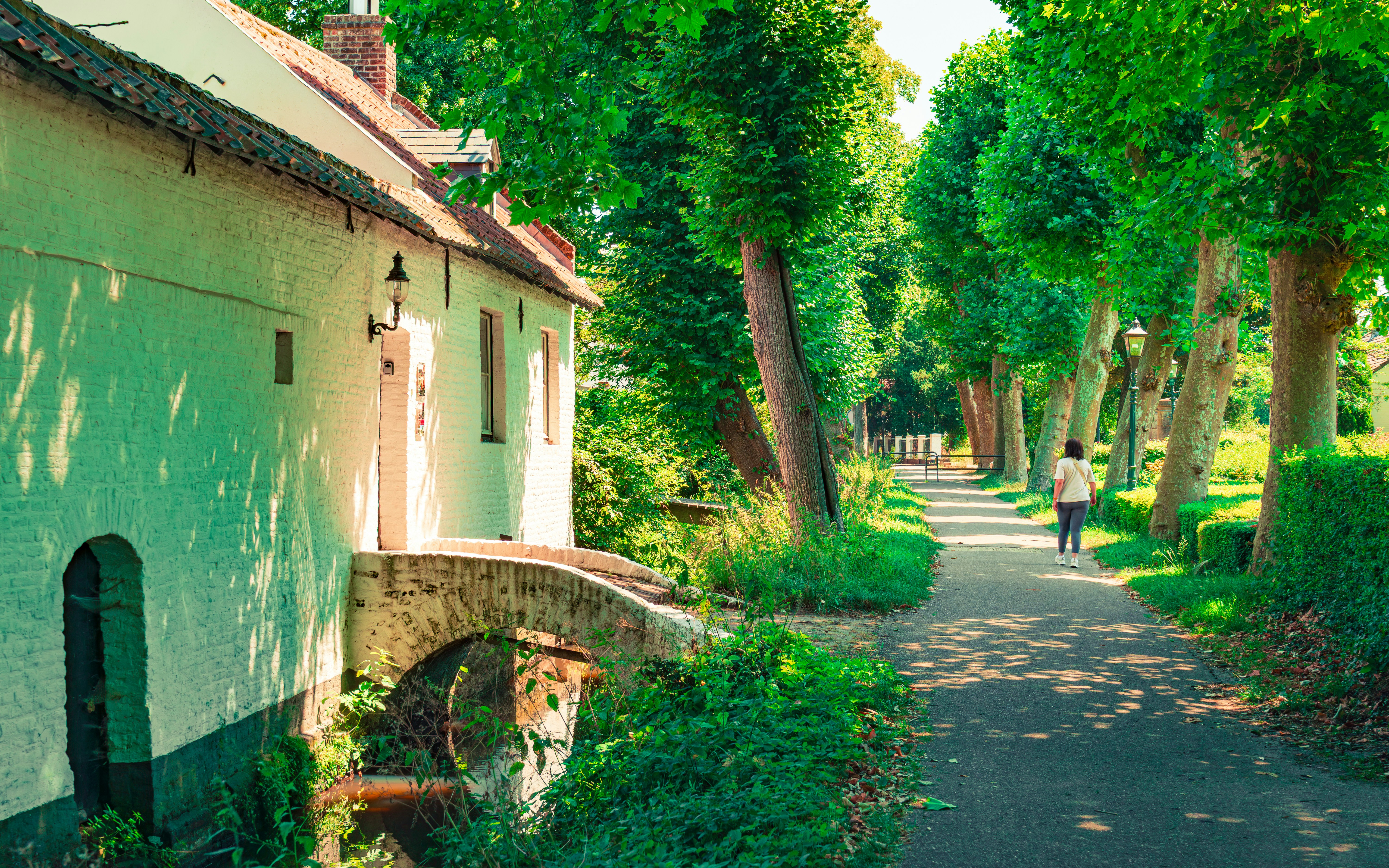 A person walks down a tree-lined path beside a canal.