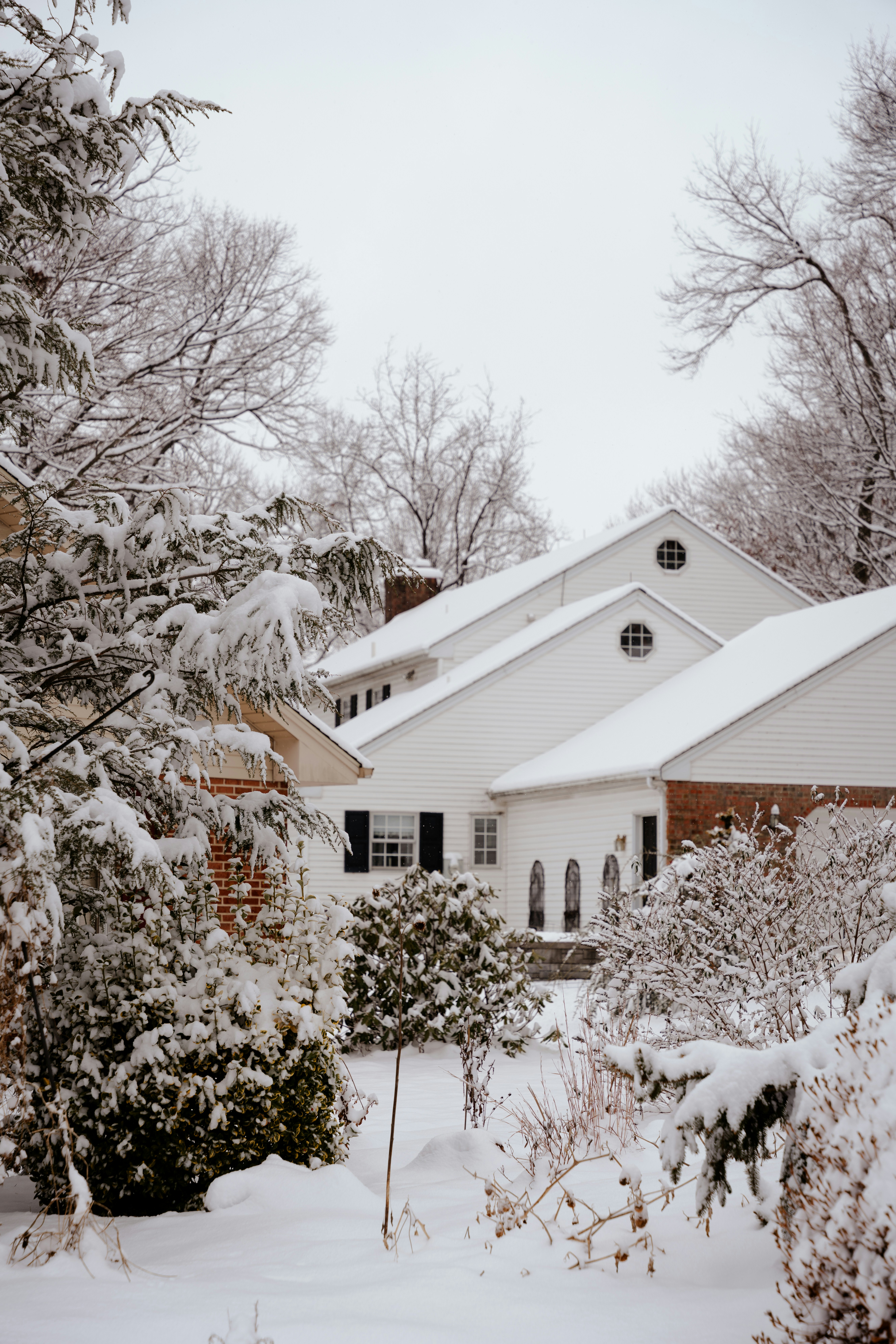 Photo by nellie_adamyan