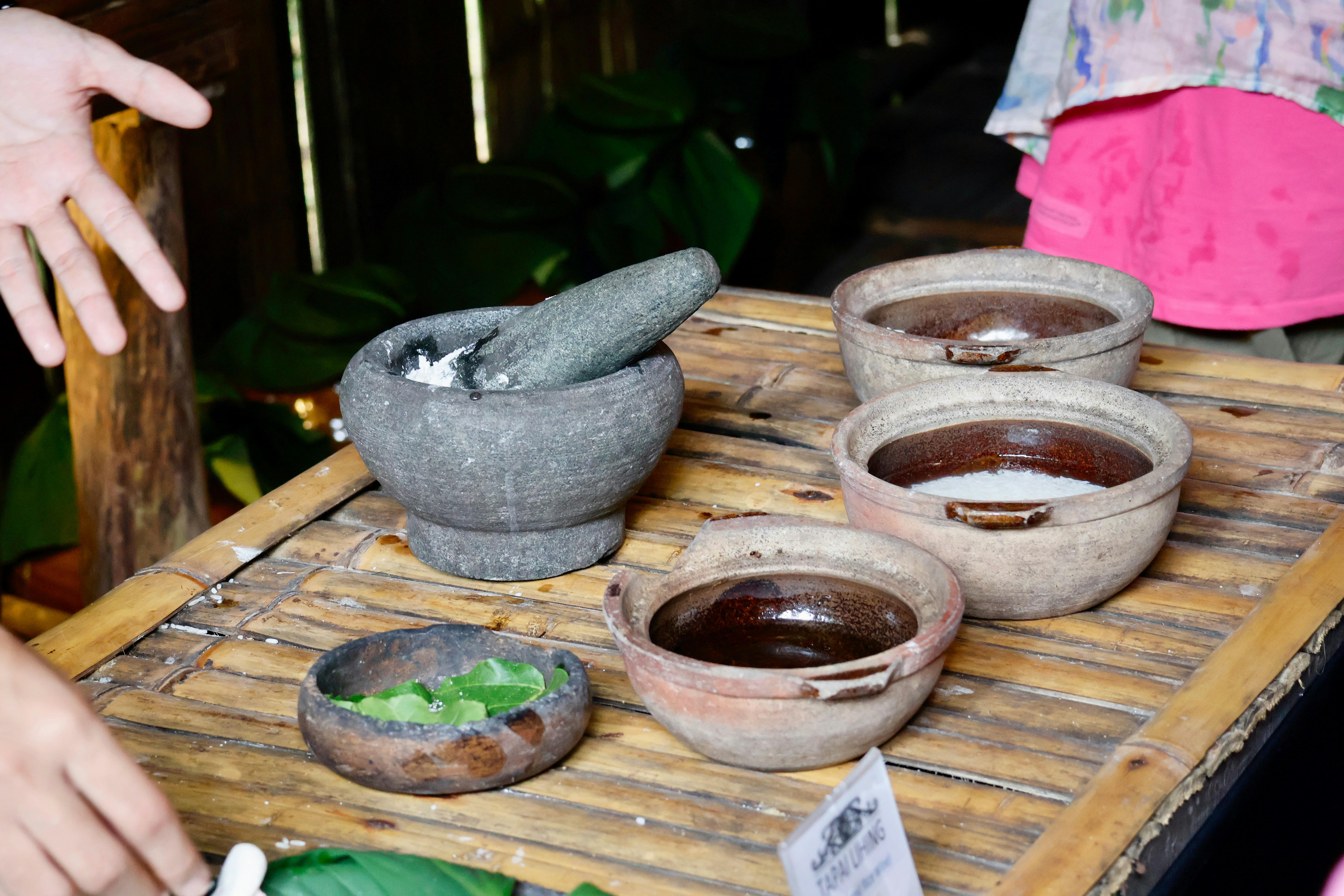 A Culinary Revolution: How Indigenous Farming Practices Are Shaping Modern Mexican Cuisine