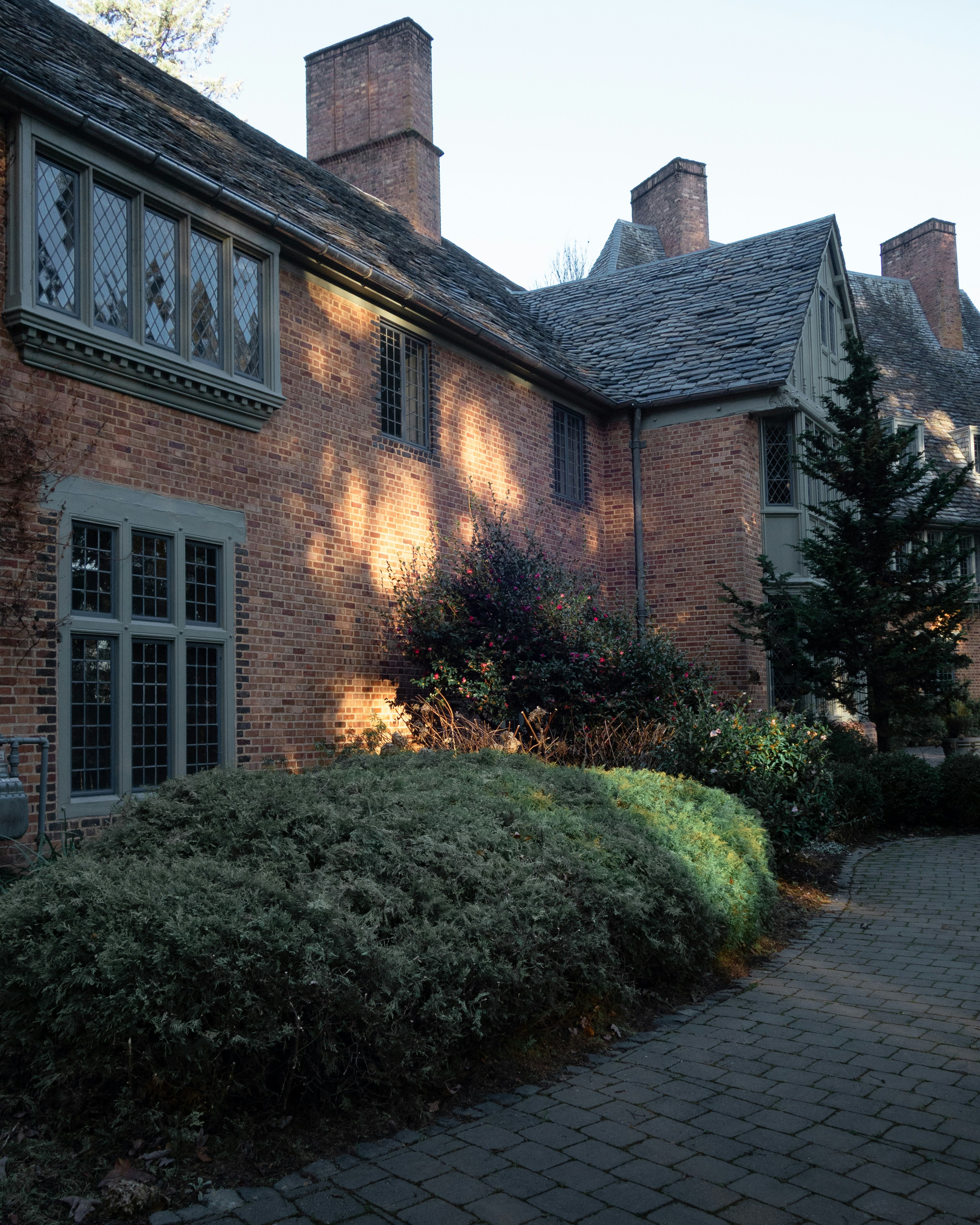 Photo by jamessestric