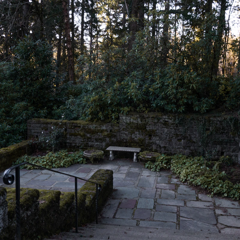 Outdoor Kitchens & Fire