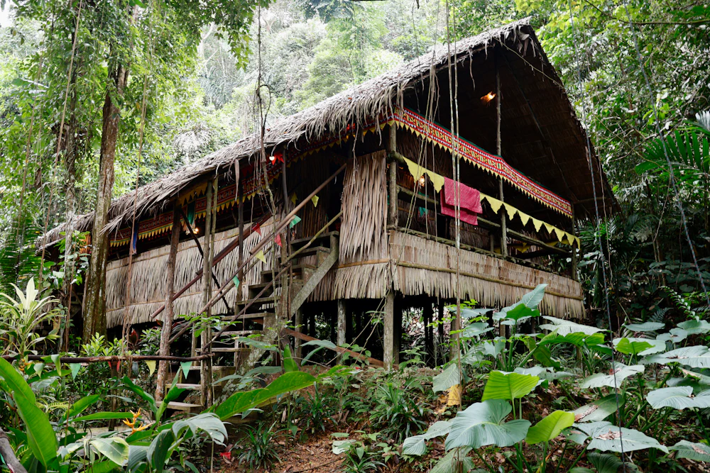 Wooden house surrounded by tropical trees