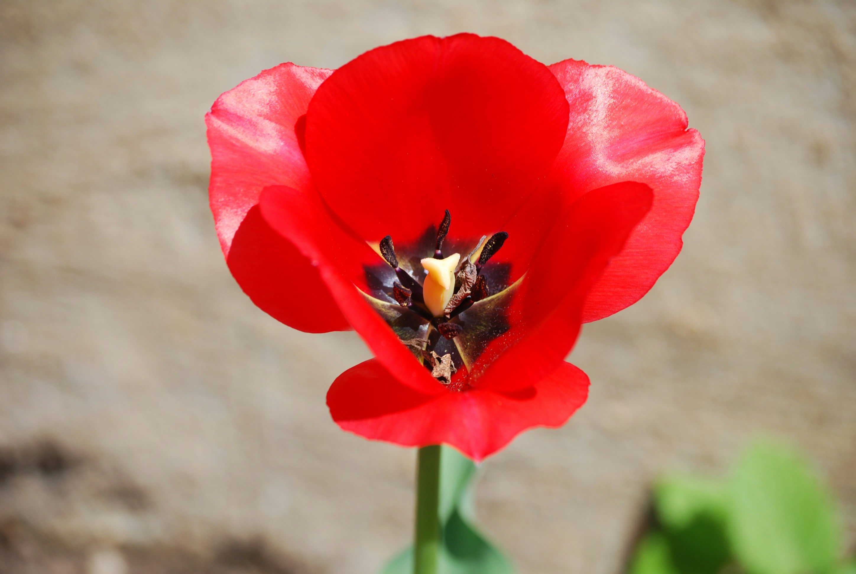 Photo by normalized2025