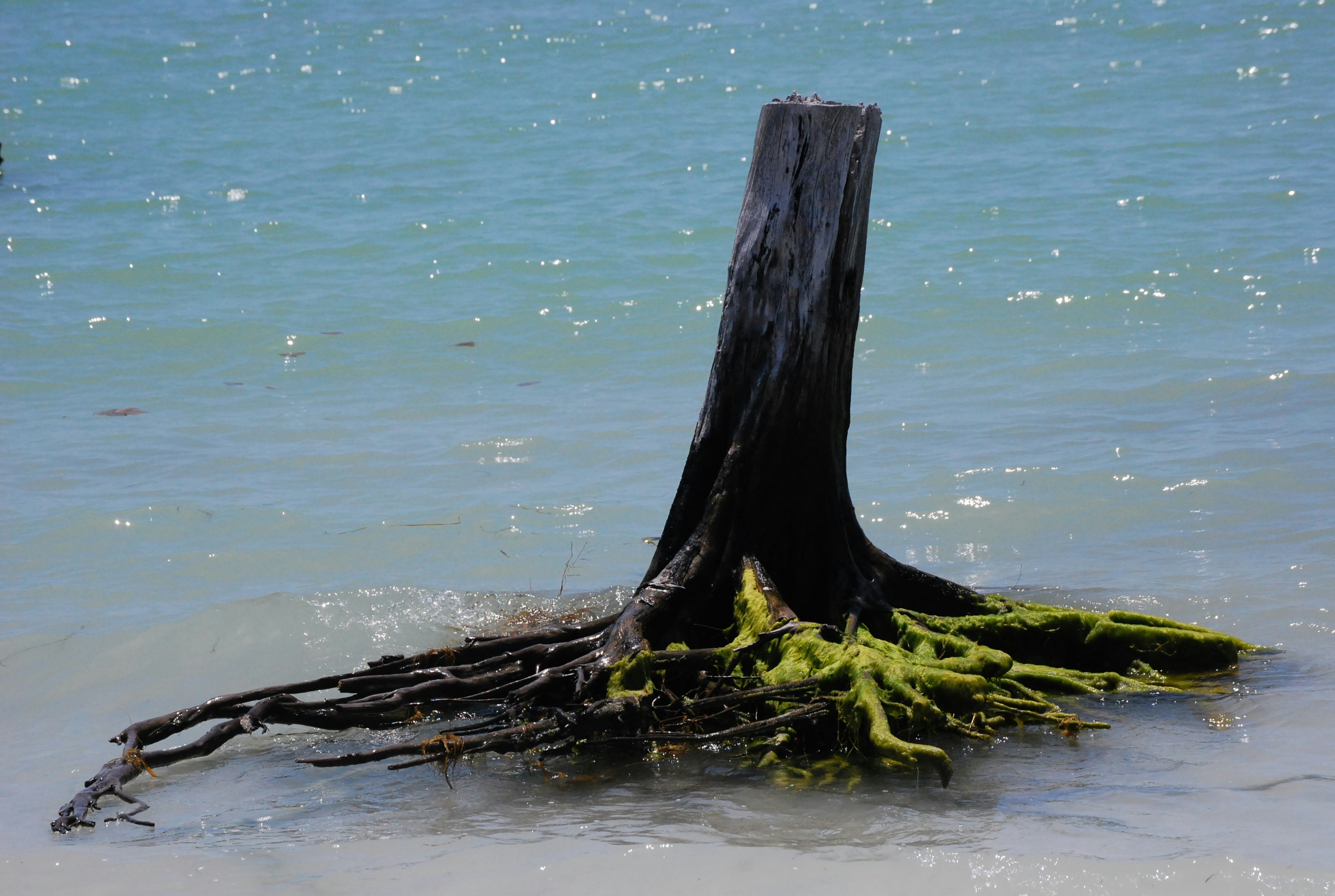 Photo by normalized2025