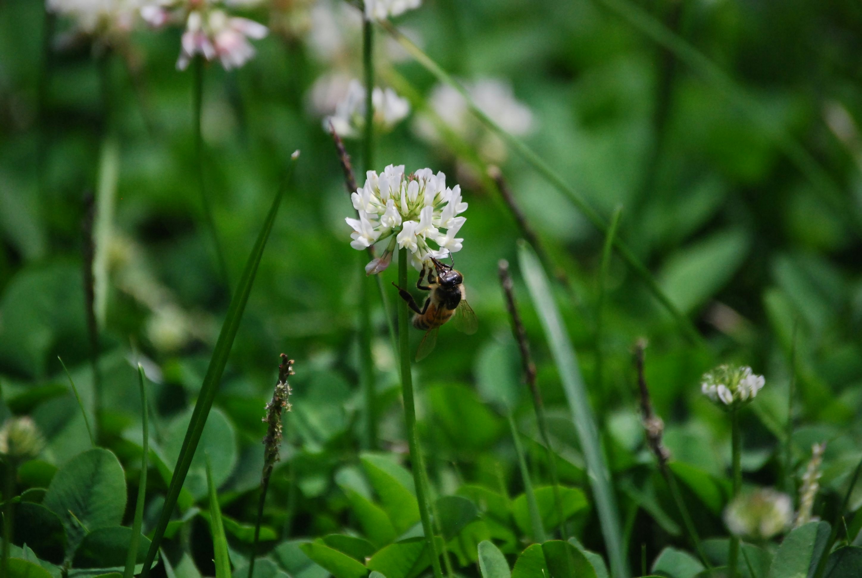 Photo by normalized2025