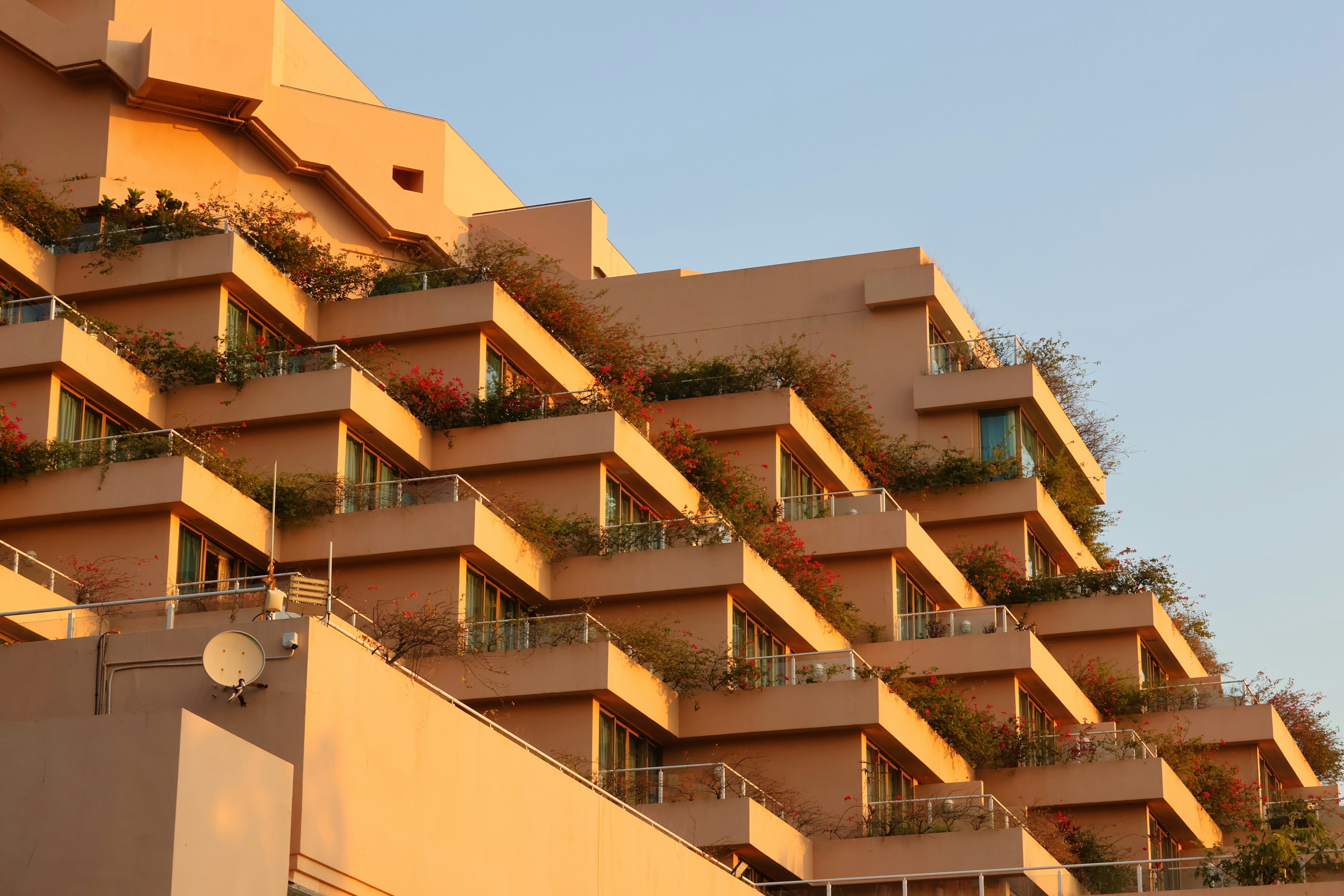 Photo by matthewchow