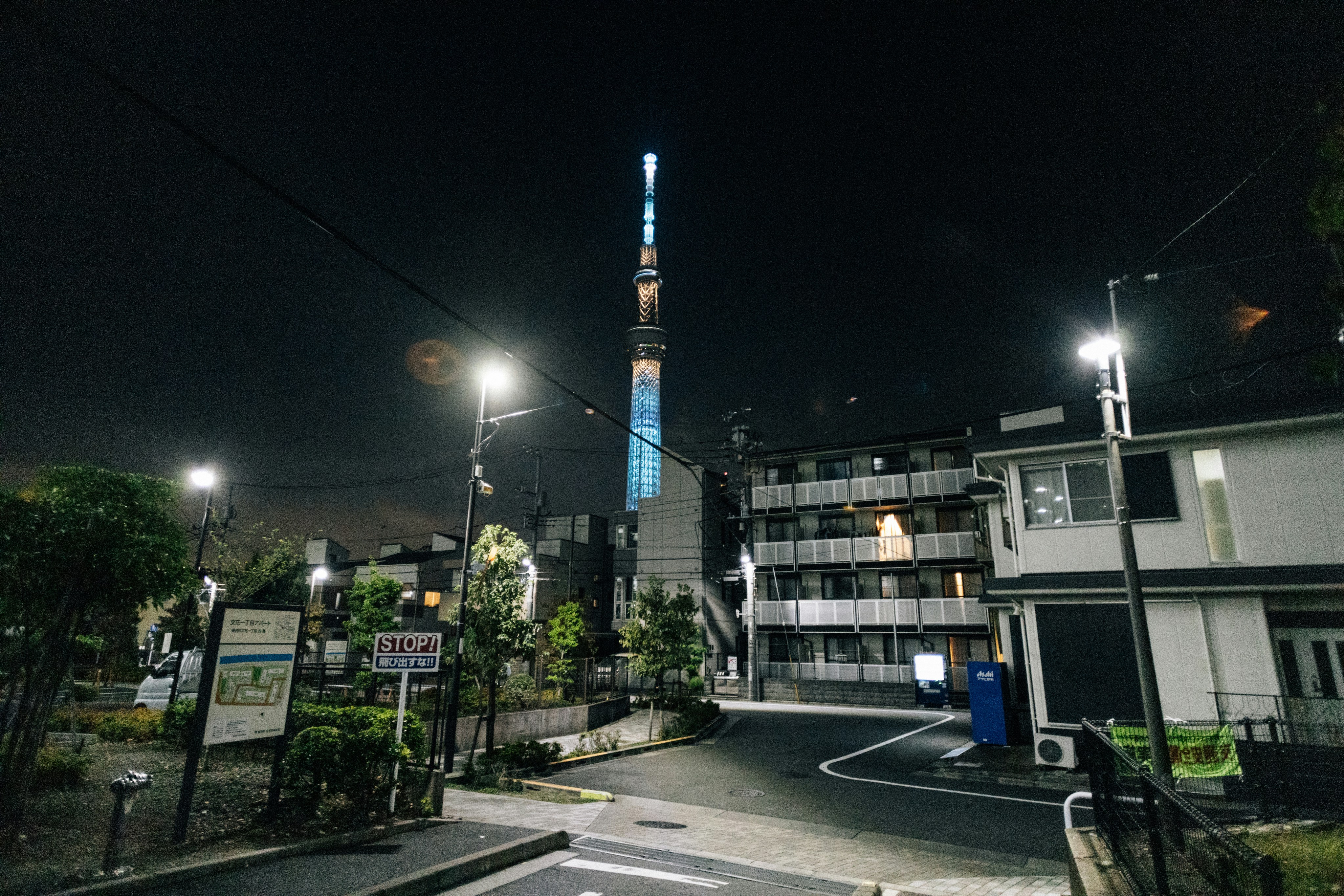 チームラボボーダレス - 도쿄 1