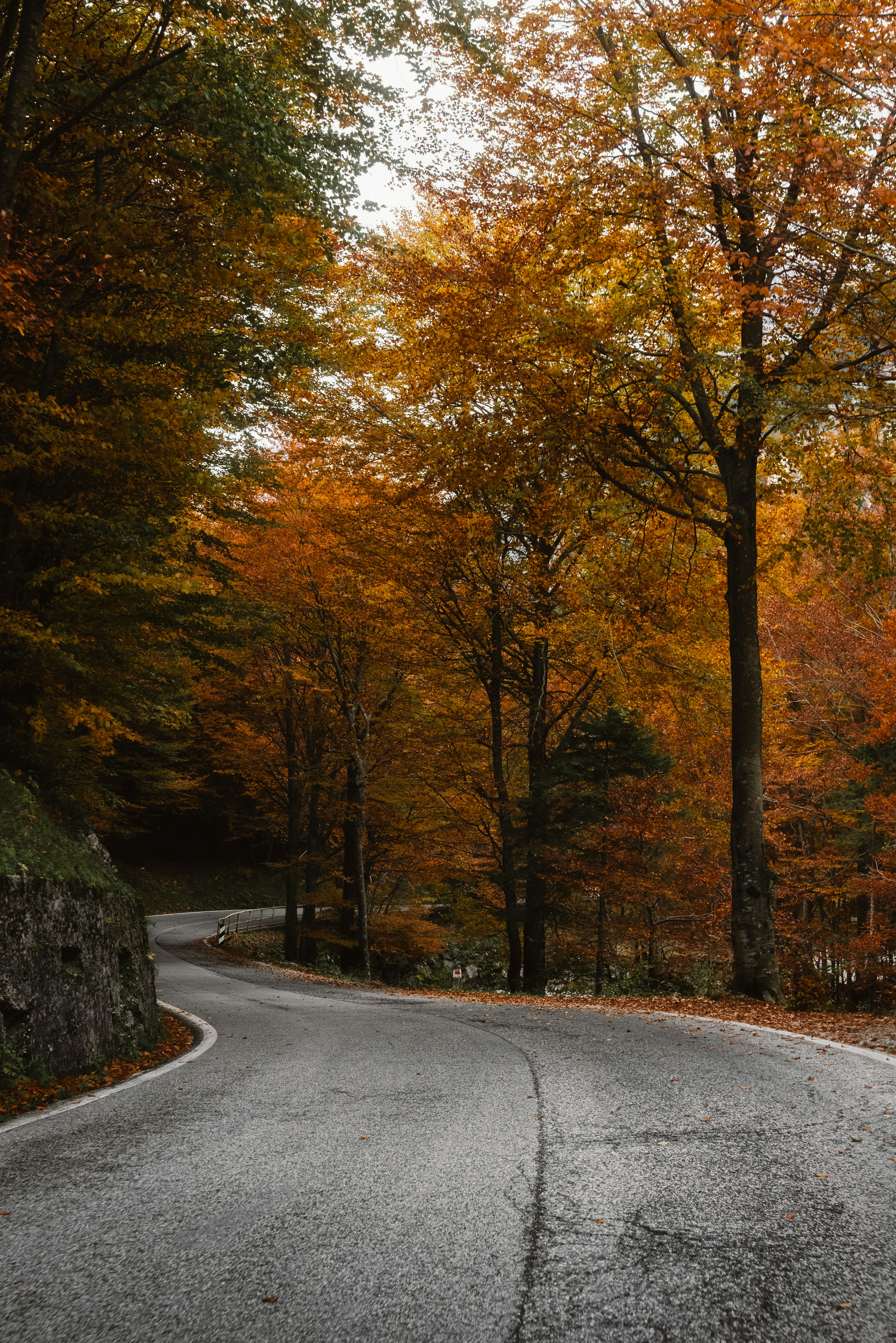 Photo by ahmetyuksek