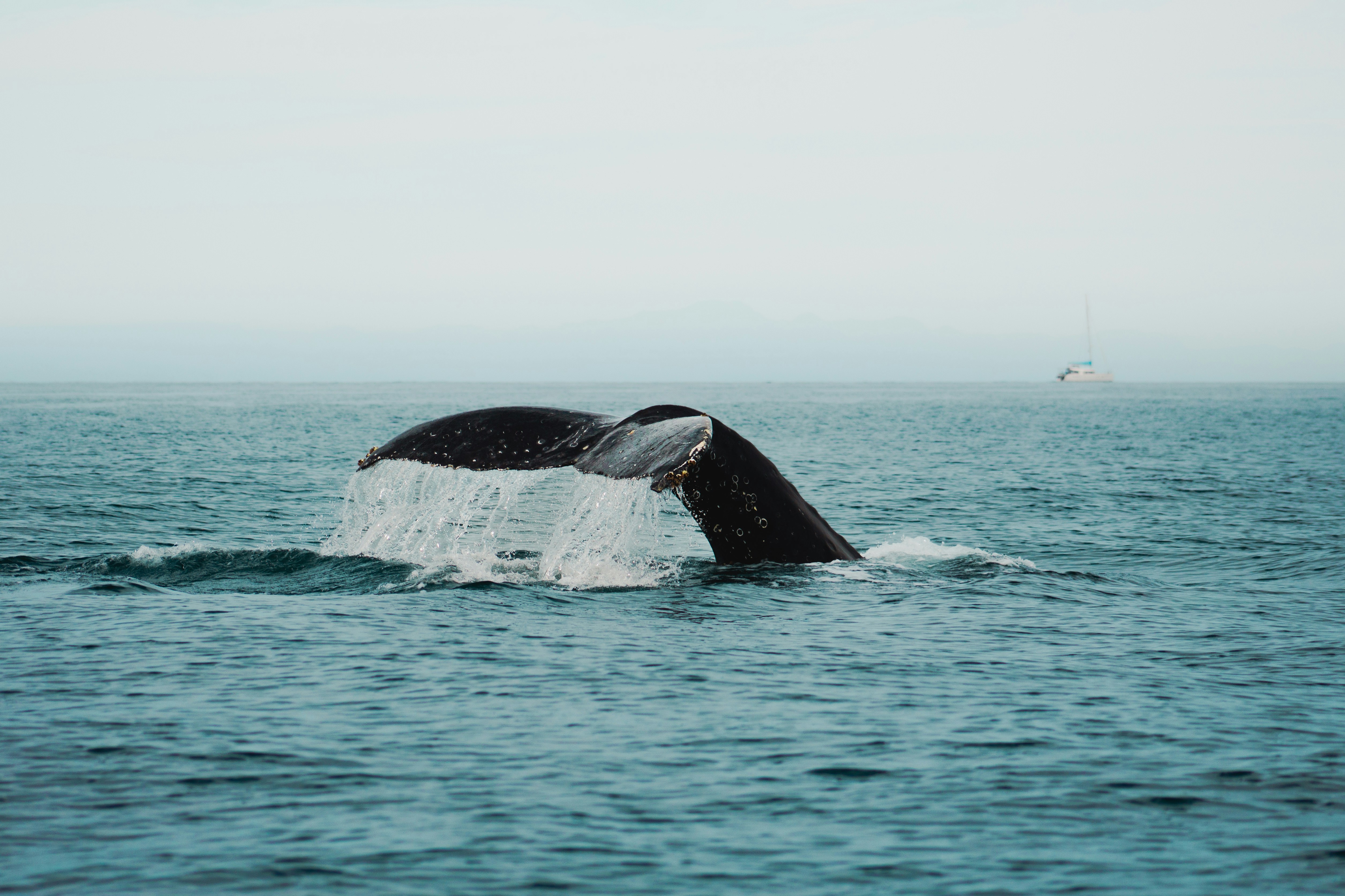 Photo by ximenaalvizouri