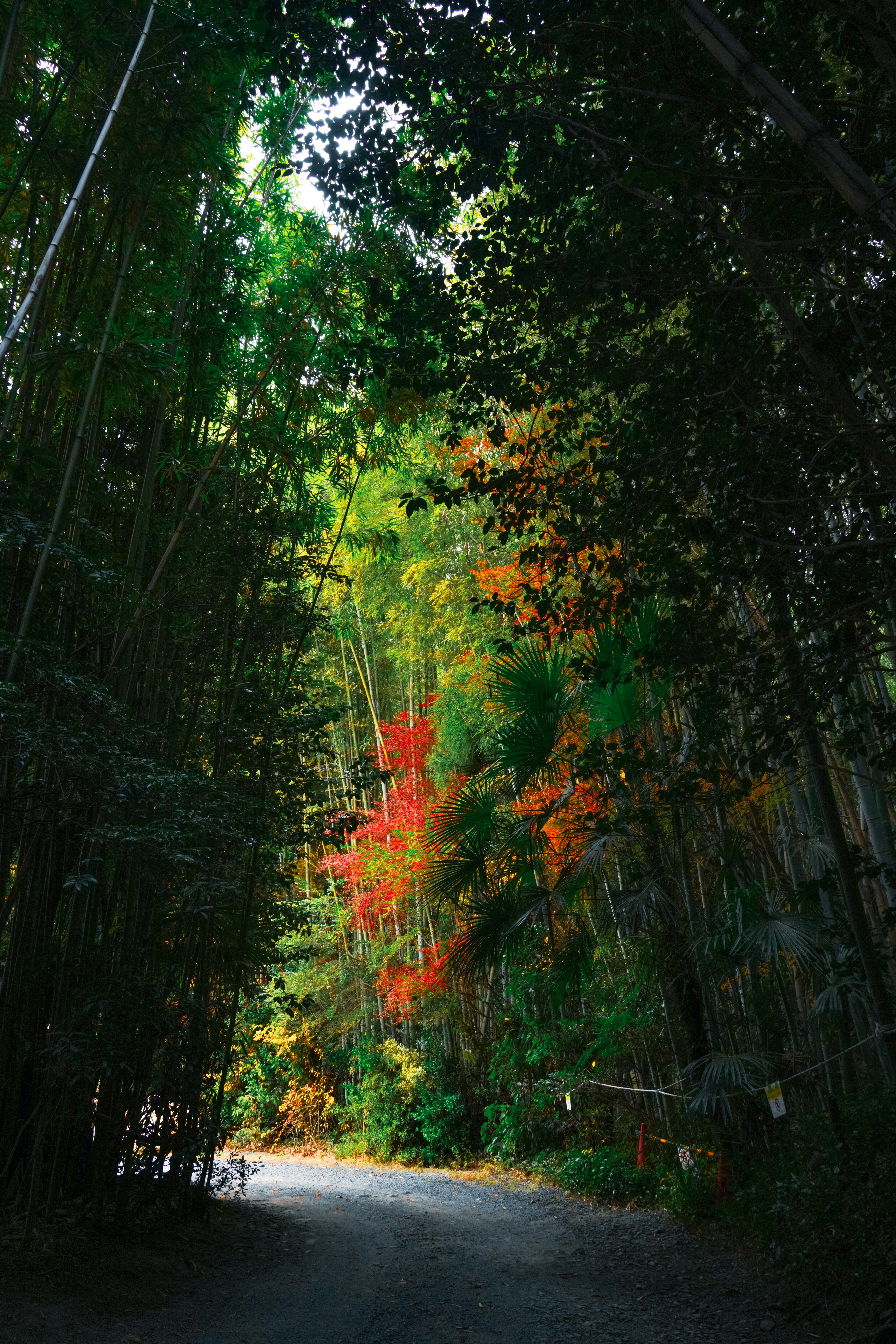 Photo by hattrick1996