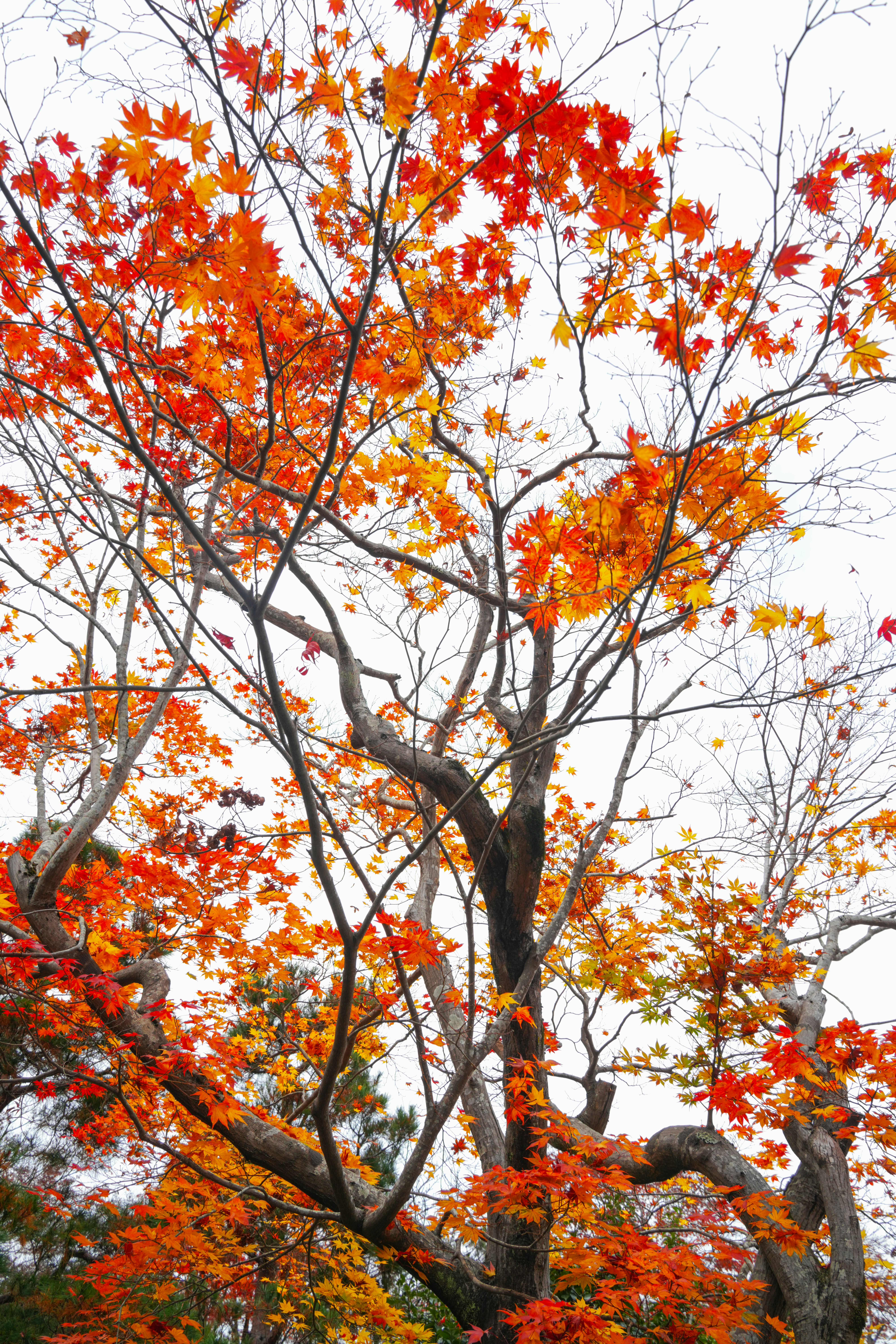 Photo by hattrick1996