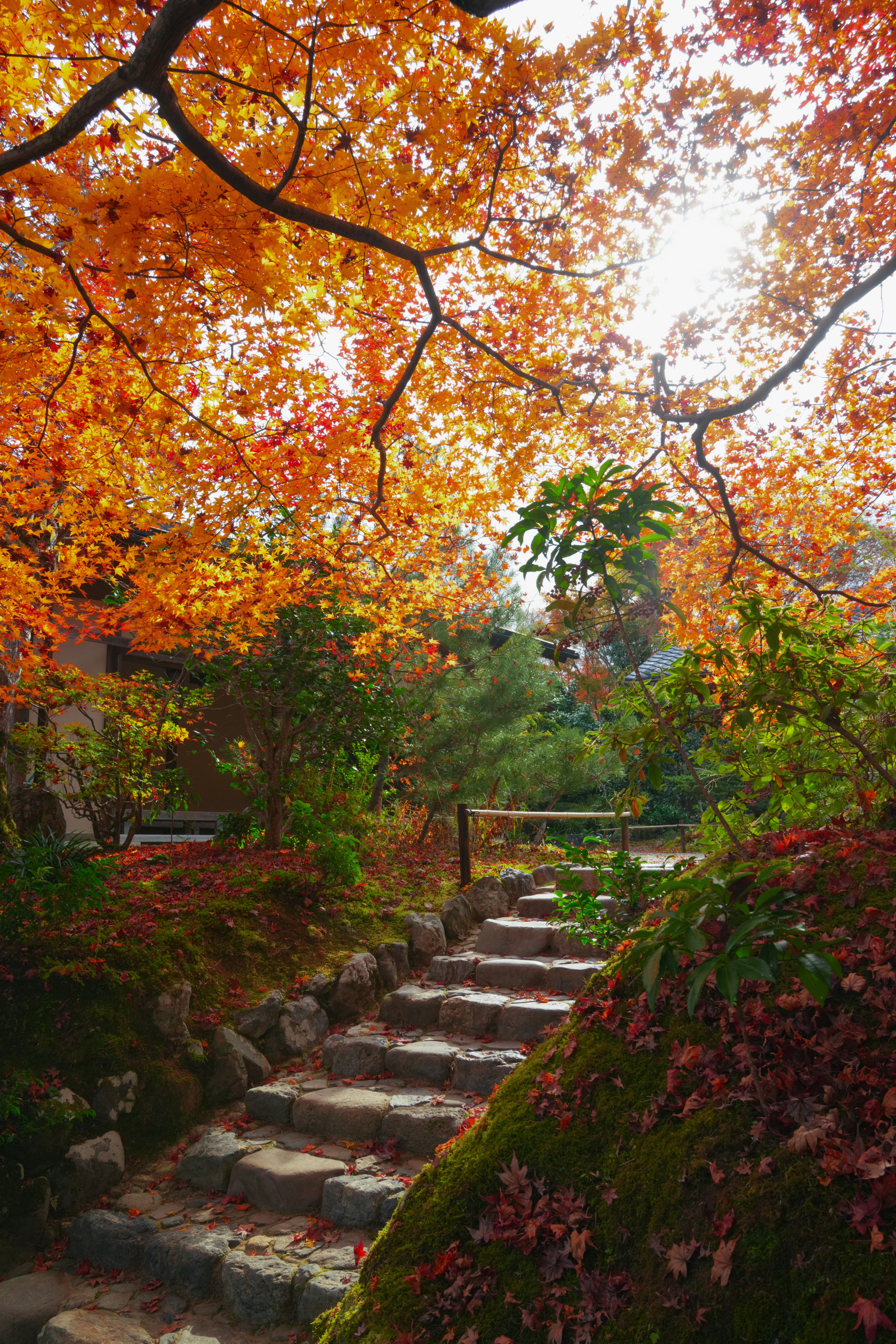 Photo by hattrick1996