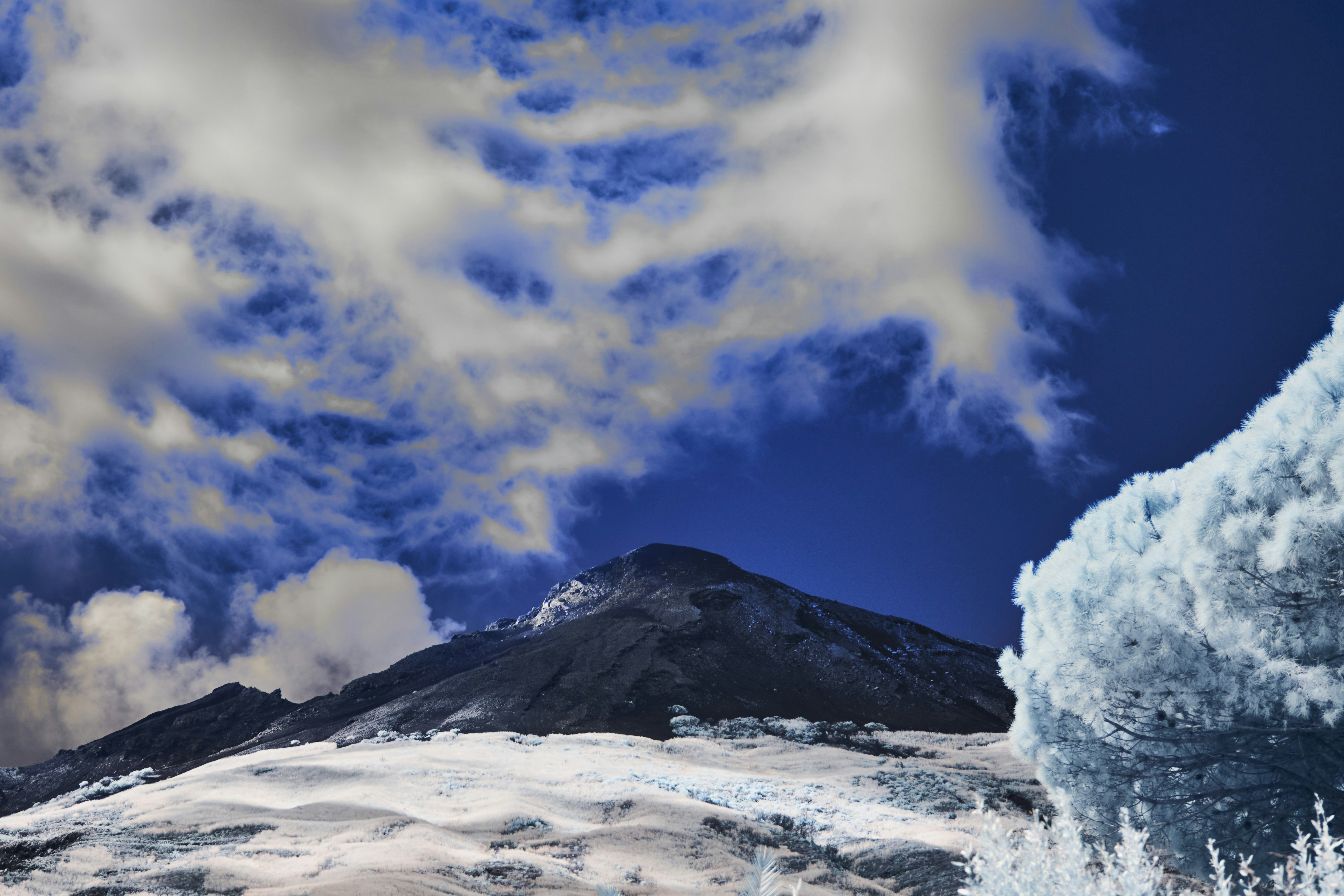 Photo by wolfgang_hasselmann