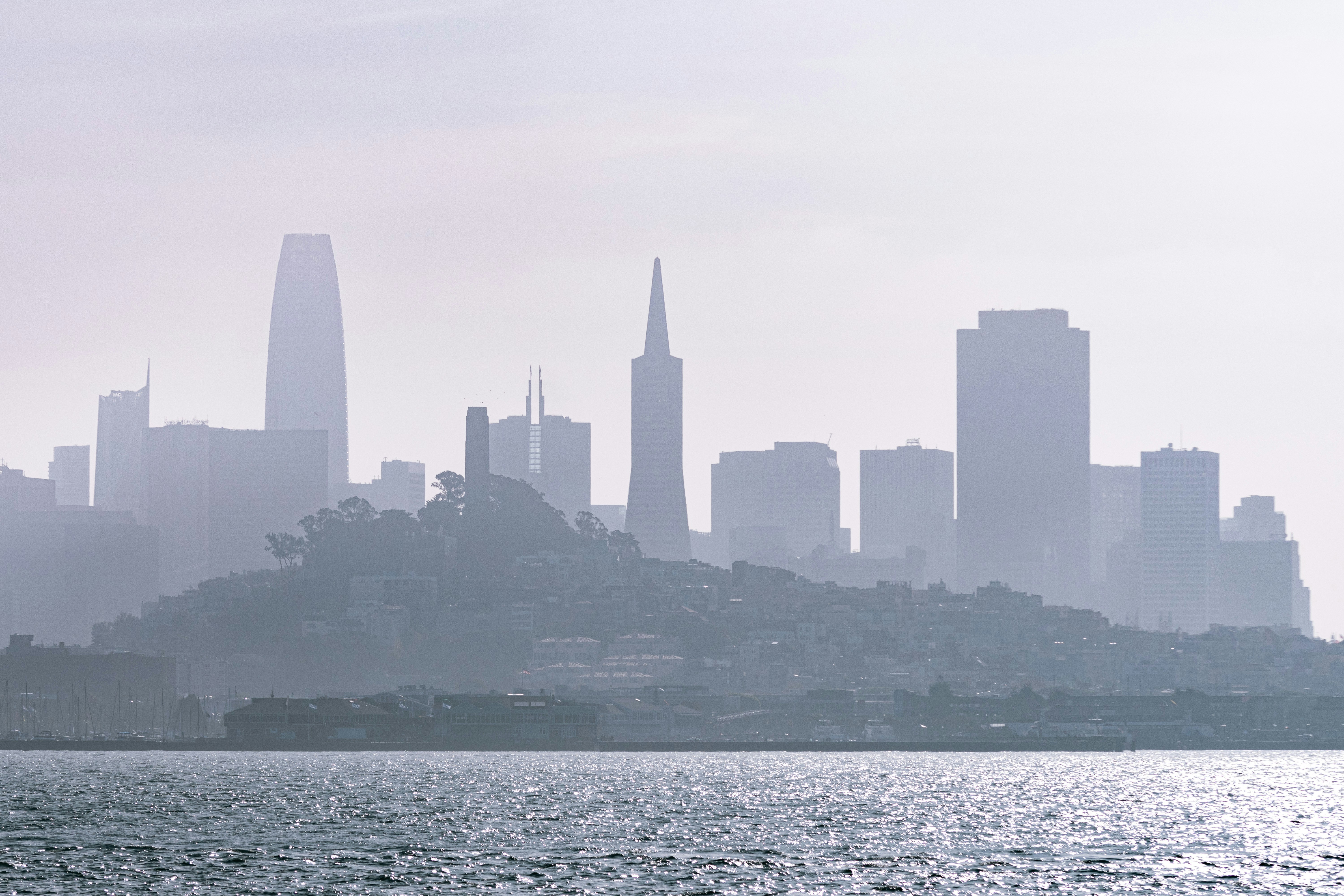 Photo by sebbo_photography