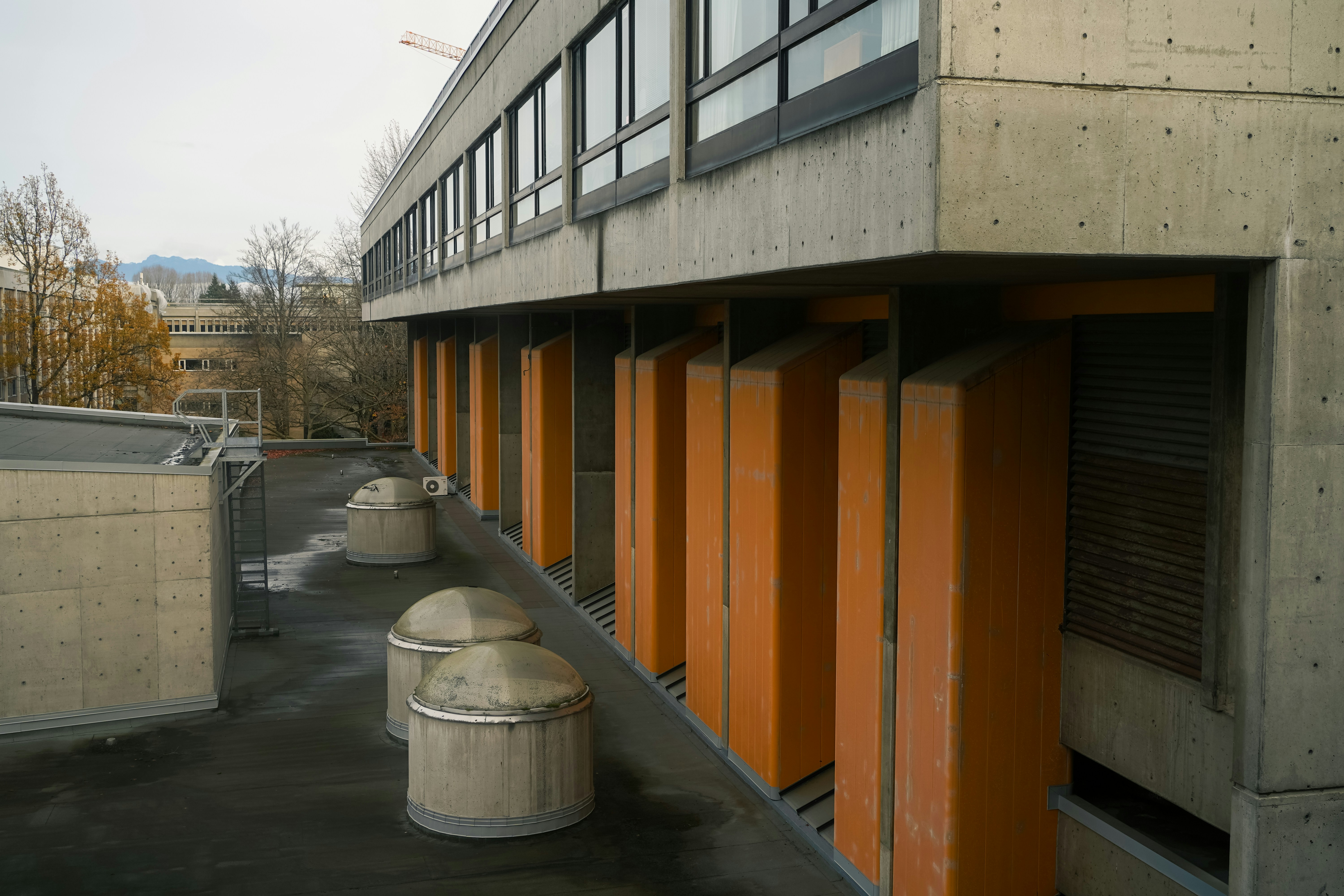 Workers in a modern facility