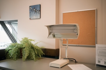 Desk with lamp, plant, and corkboard
