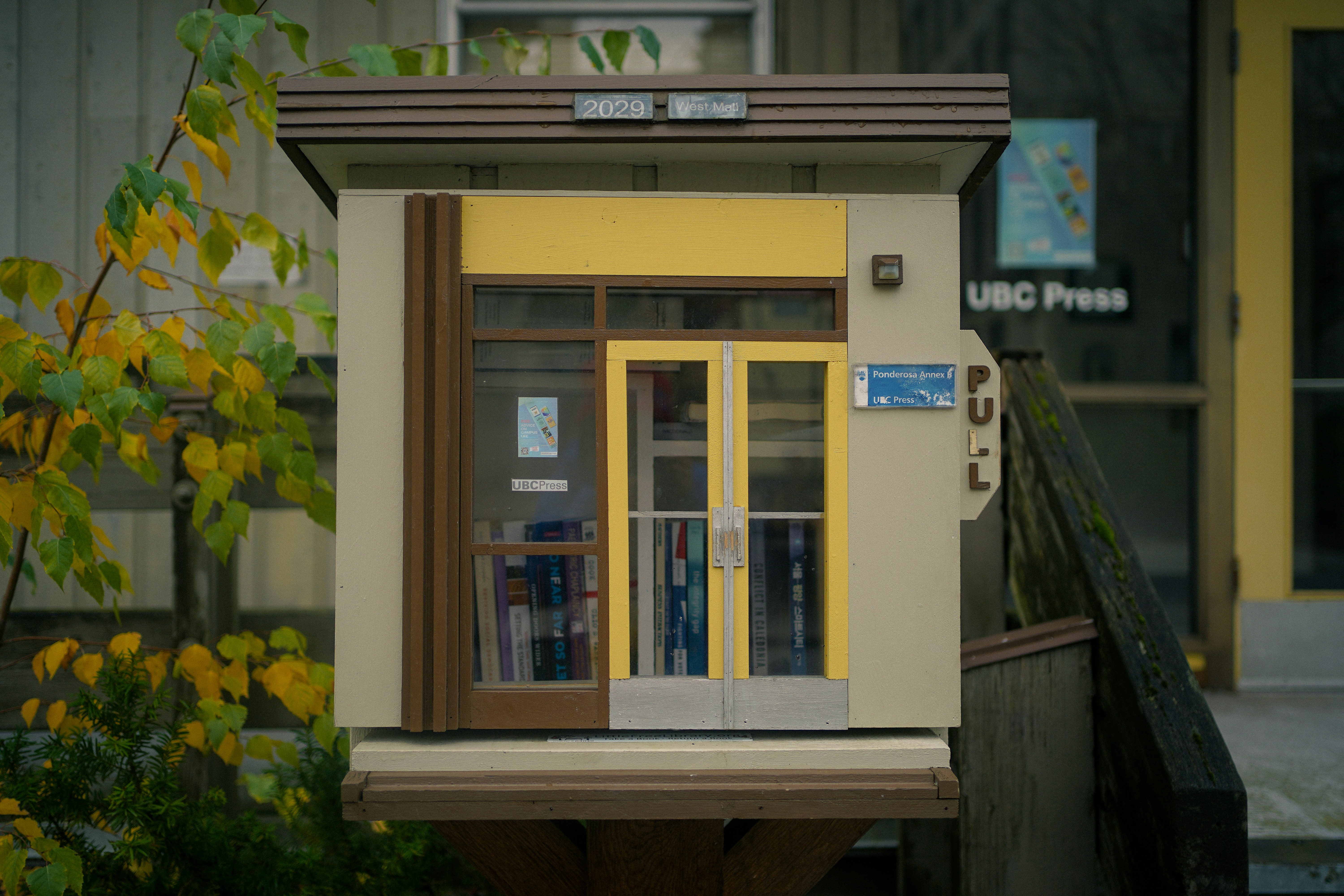 A small library box with yellow doors and books.