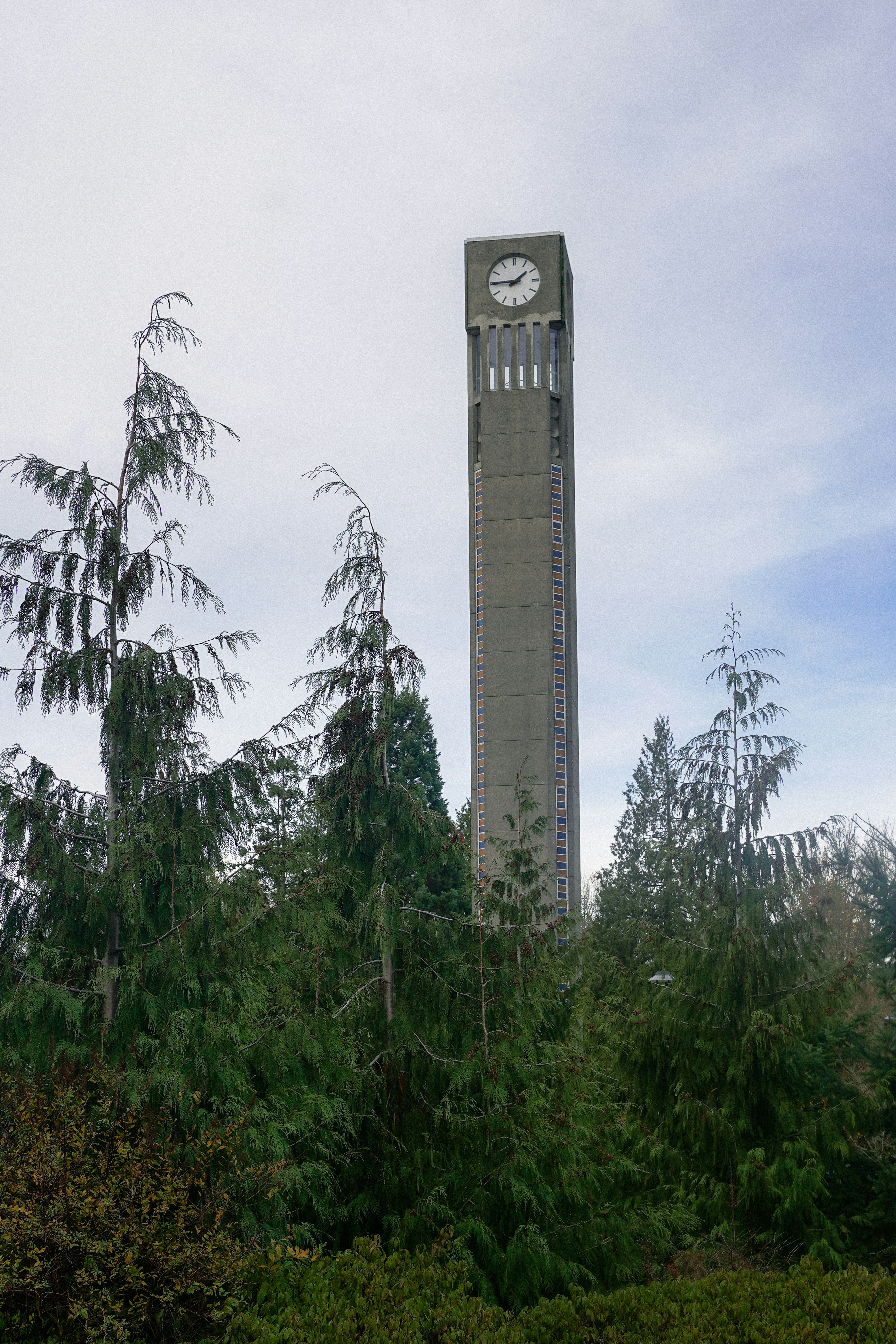 Tall concrete clock tower behind green trees
